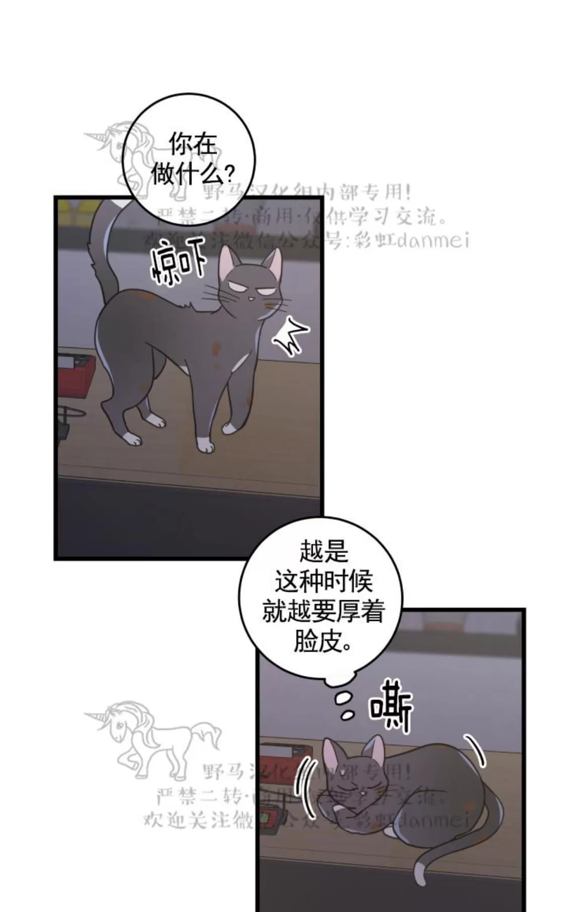 《我的专属喵喵/我的专属猫咪》漫画最新章节 第22话 免费下拉式在线观看章节第【61】张图片