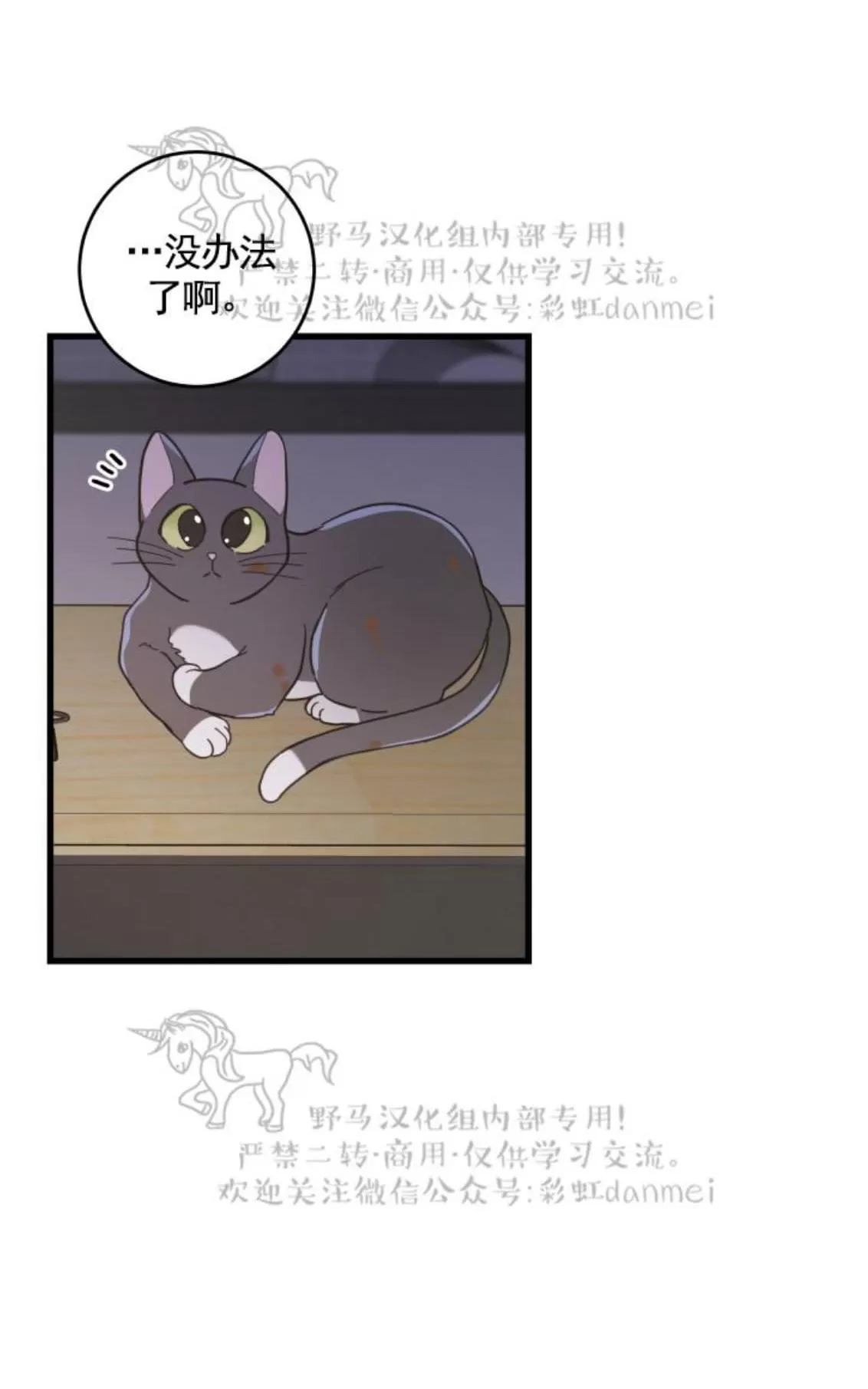 《我的专属喵喵/我的专属猫咪》漫画最新章节 第22话 免费下拉式在线观看章节第【65】张图片