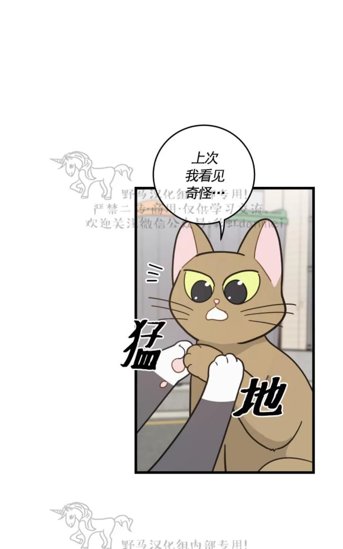 《我的专属喵喵/我的专属猫咪》漫画最新章节 第21话 免费下拉式在线观看章节第【10】张图片