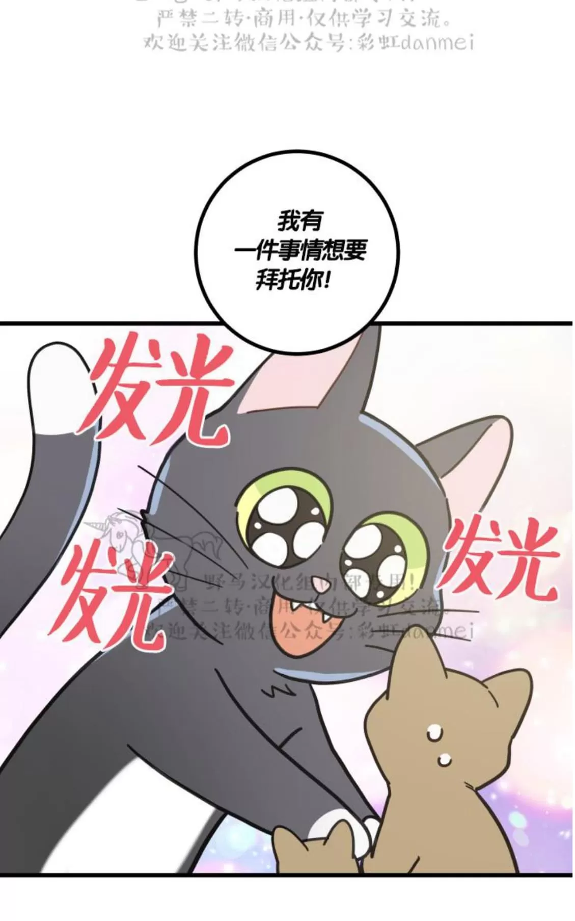 《我的专属喵喵/我的专属猫咪》漫画最新章节 第21话 免费下拉式在线观看章节第【11】张图片