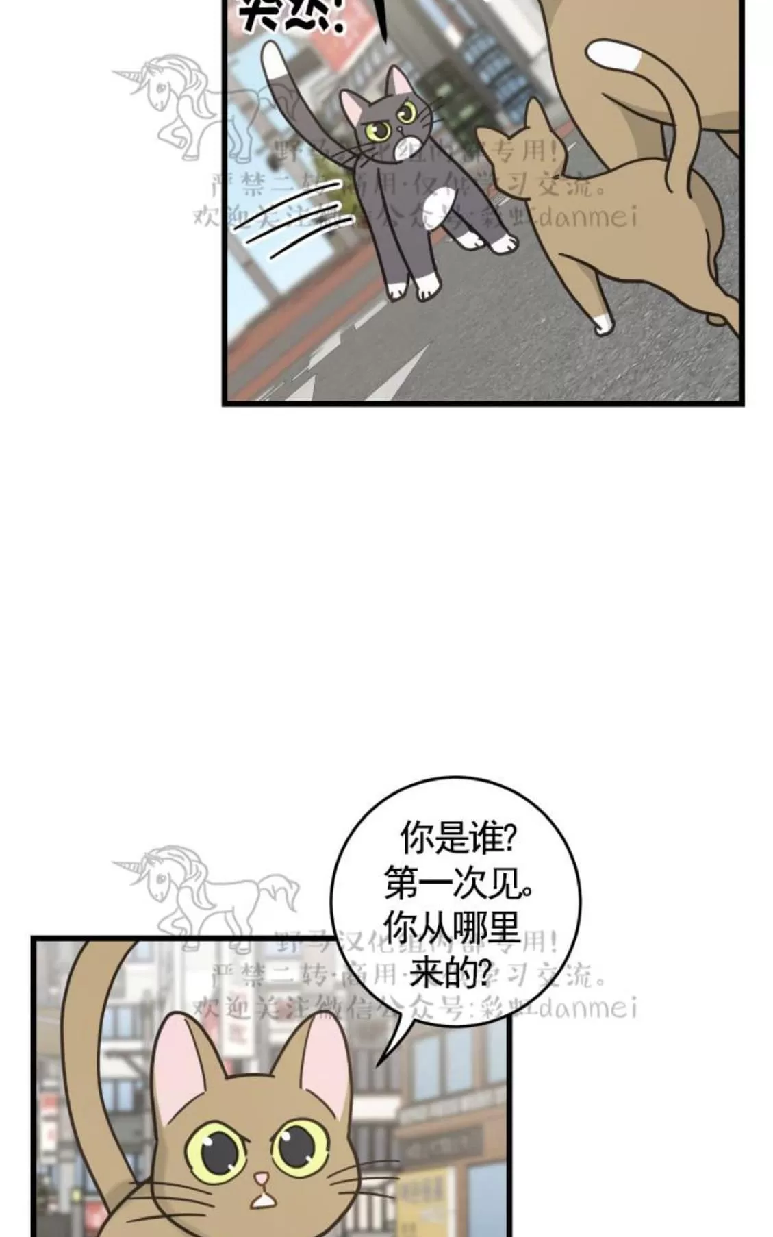 《我的专属喵喵/我的专属猫咪》漫画最新章节 第21话 免费下拉式在线观看章节第【2】张图片