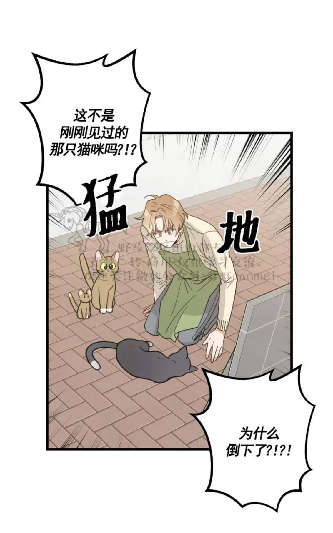 《我的专属喵喵/我的专属猫咪》漫画最新章节 第21话 免费下拉式在线观看章节第【26】张图片