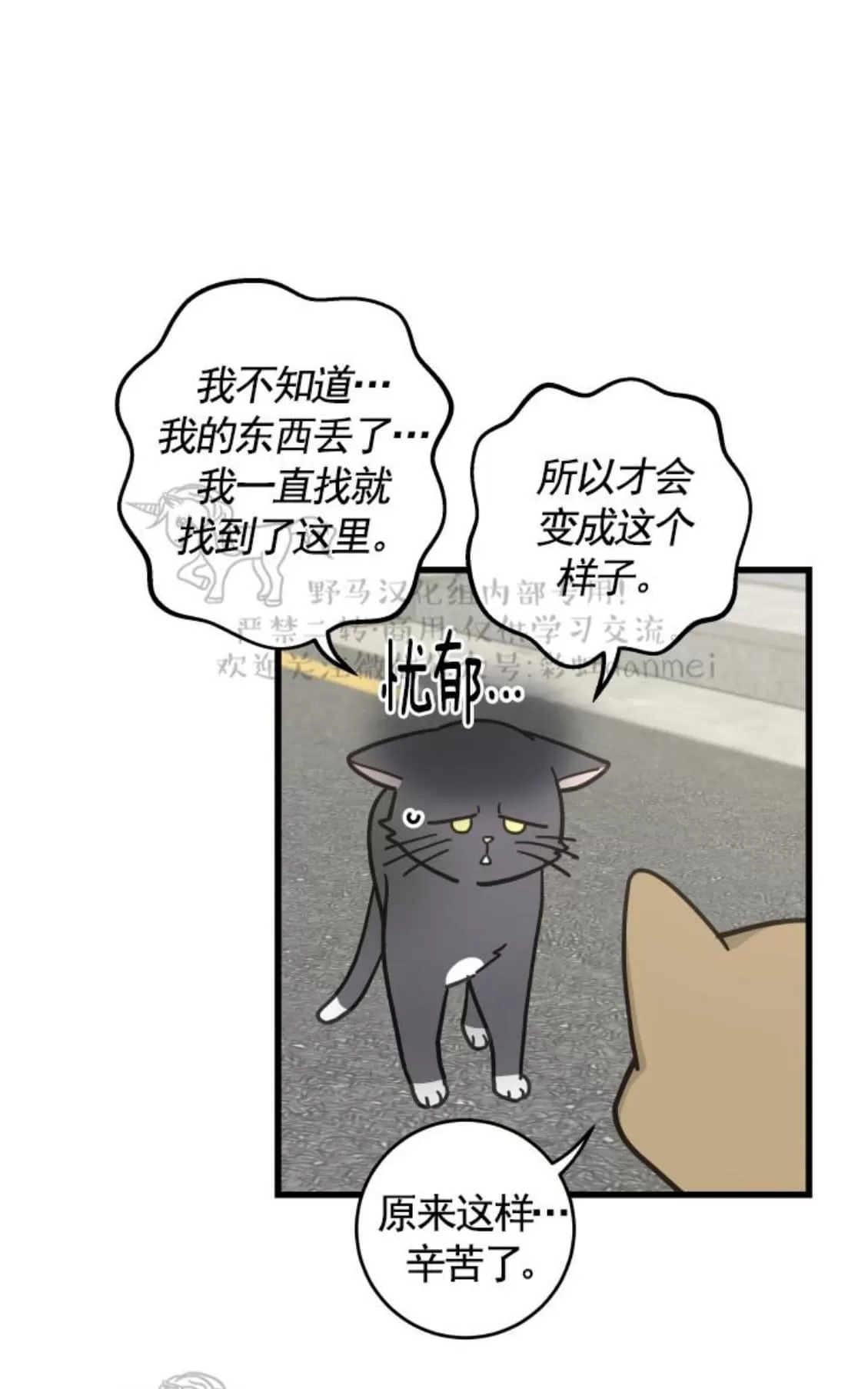 《我的专属喵喵/我的专属猫咪》漫画最新章节 第21话 免费下拉式在线观看章节第【4】张图片