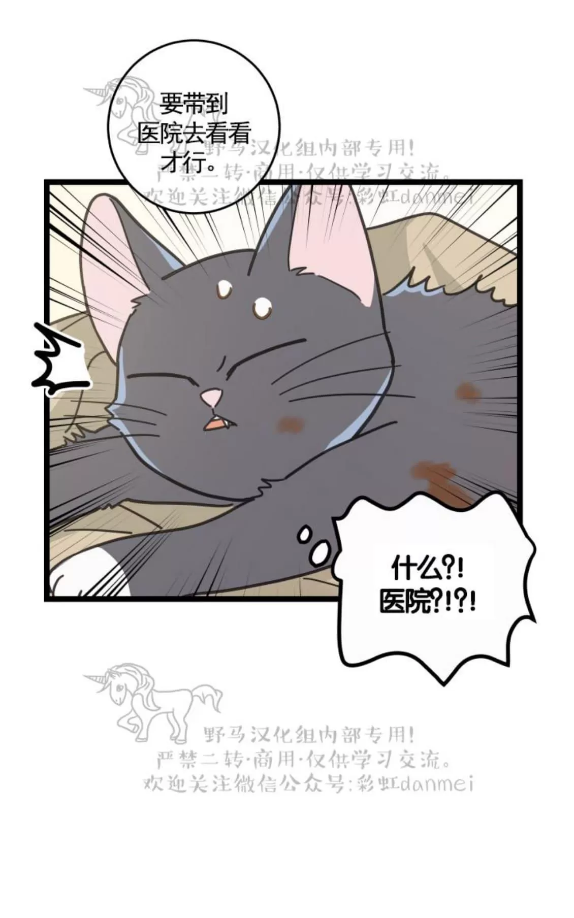 《我的专属喵喵/我的专属猫咪》漫画最新章节 第21话 免费下拉式在线观看章节第【40】张图片