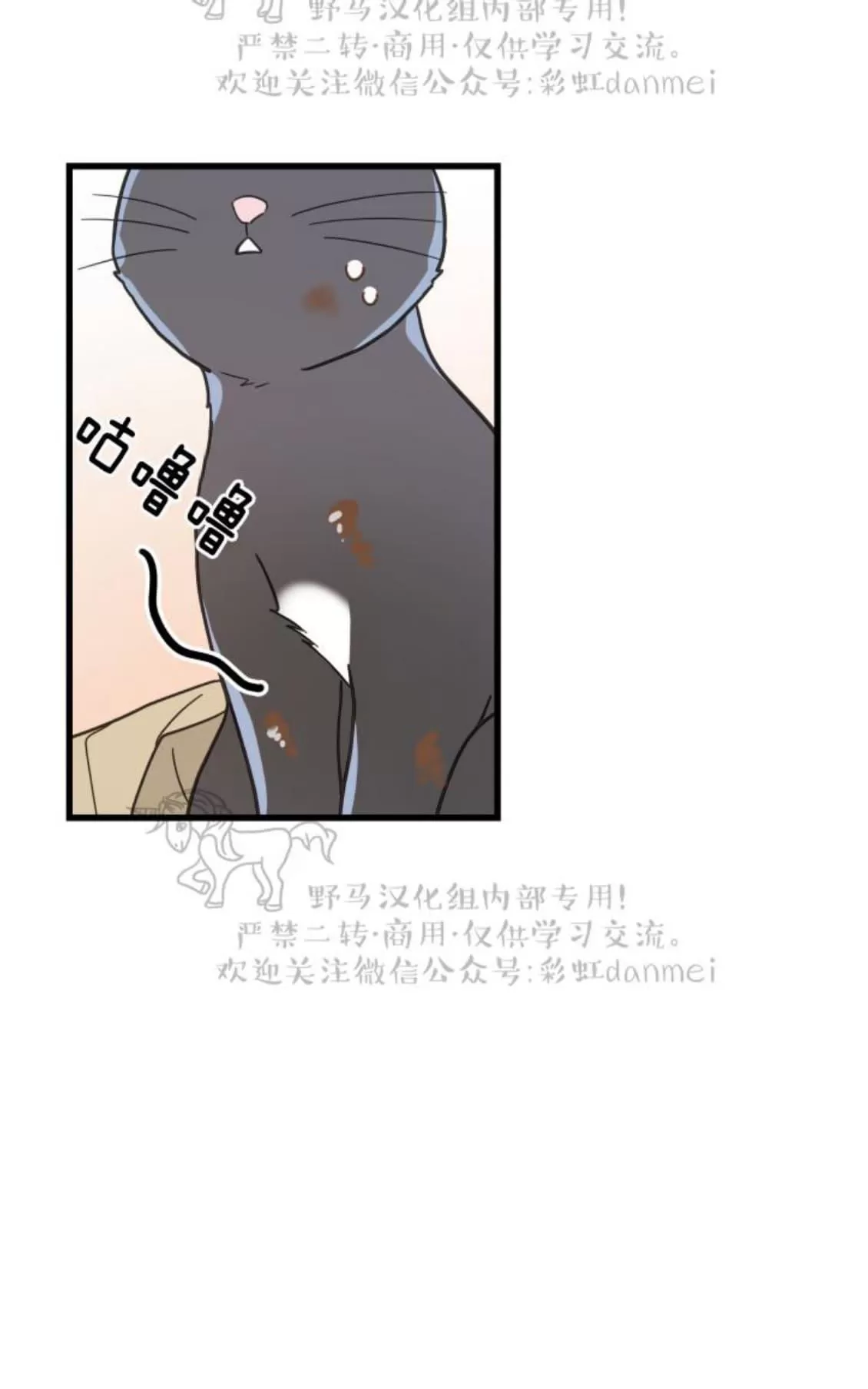 《我的专属喵喵/我的专属猫咪》漫画最新章节 第21话 免费下拉式在线观看章节第【43】张图片