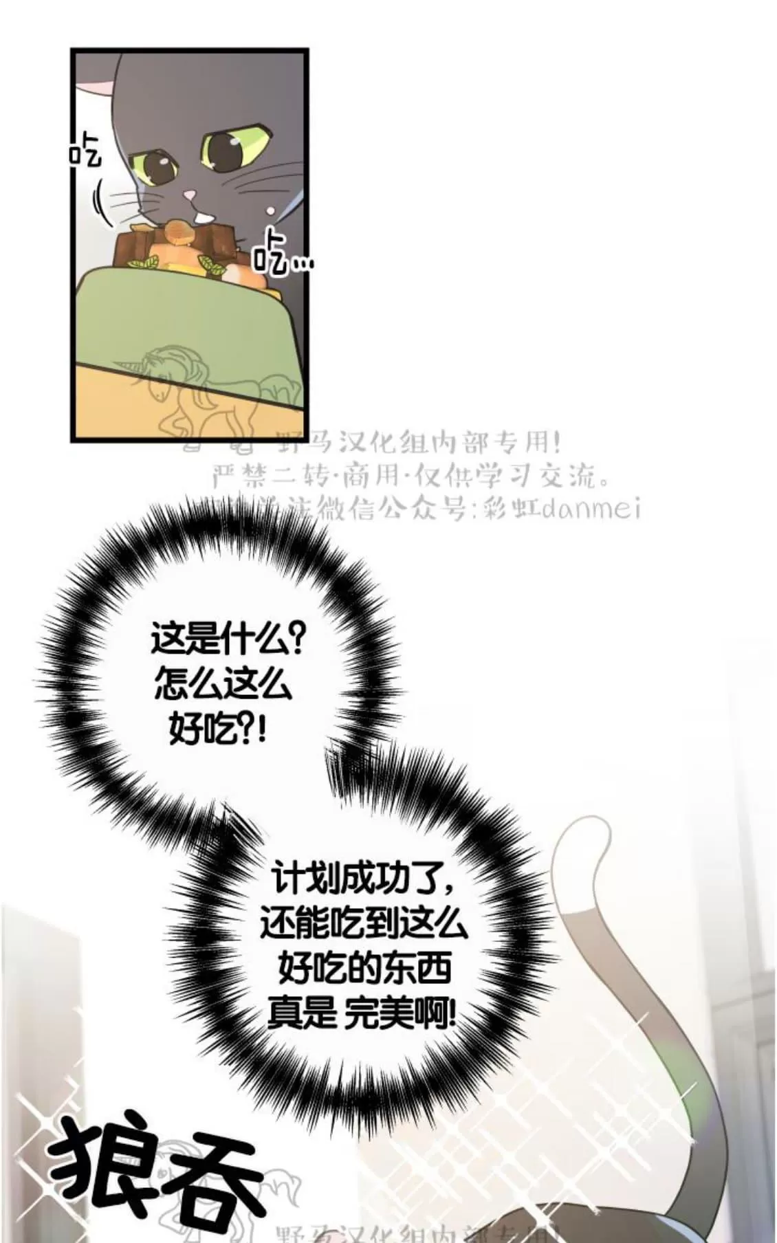 《我的专属喵喵/我的专属猫咪》漫画最新章节 第21话 免费下拉式在线观看章节第【49】张图片