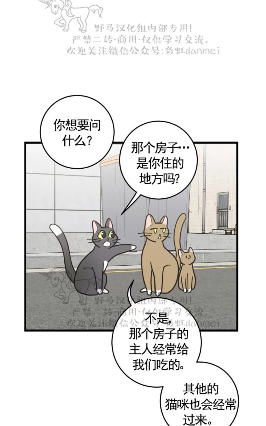 《我的专属喵喵/我的专属猫咪》漫画最新章节 第21话 免费下拉式在线观看章节第【5】张图片