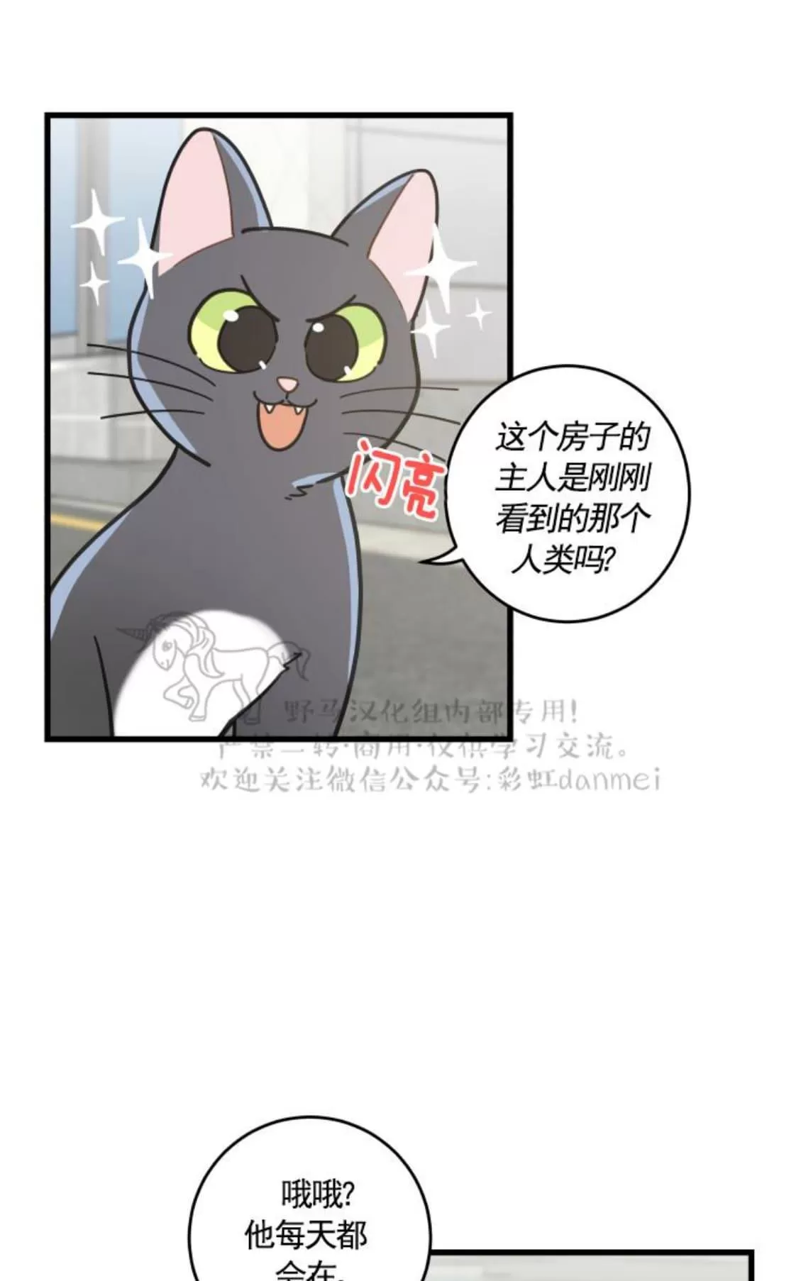 《我的专属喵喵/我的专属猫咪》漫画最新章节 第21话 免费下拉式在线观看章节第【7】张图片