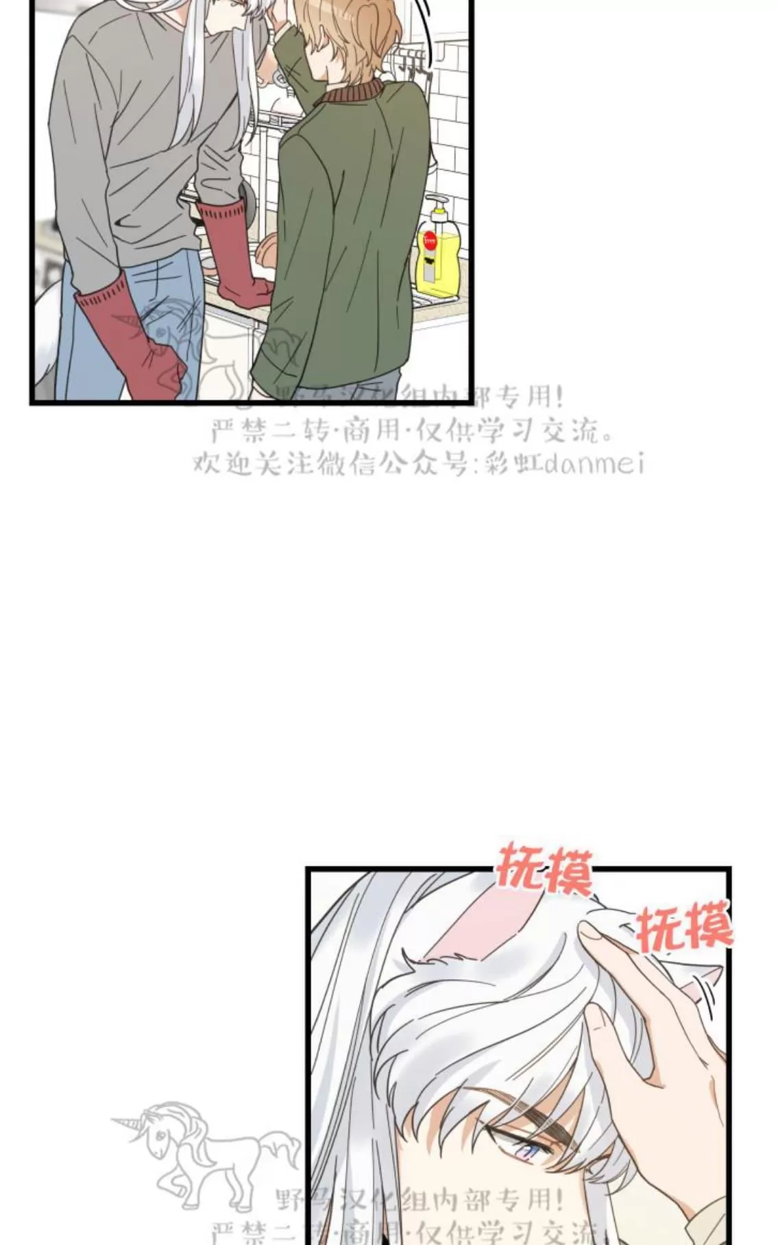 《我的专属喵喵/我的专属猫咪》漫画最新章节 第20话 免费下拉式在线观看章节第【15】张图片