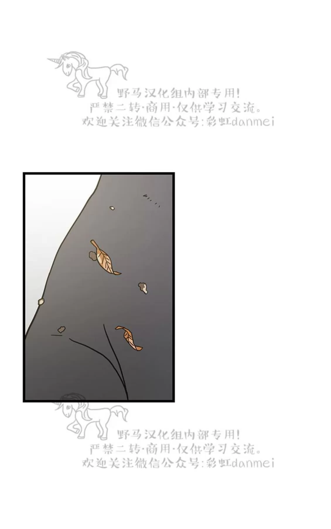 《我的专属喵喵/我的专属猫咪》漫画最新章节 第20话 免费下拉式在线观看章节第【32】张图片