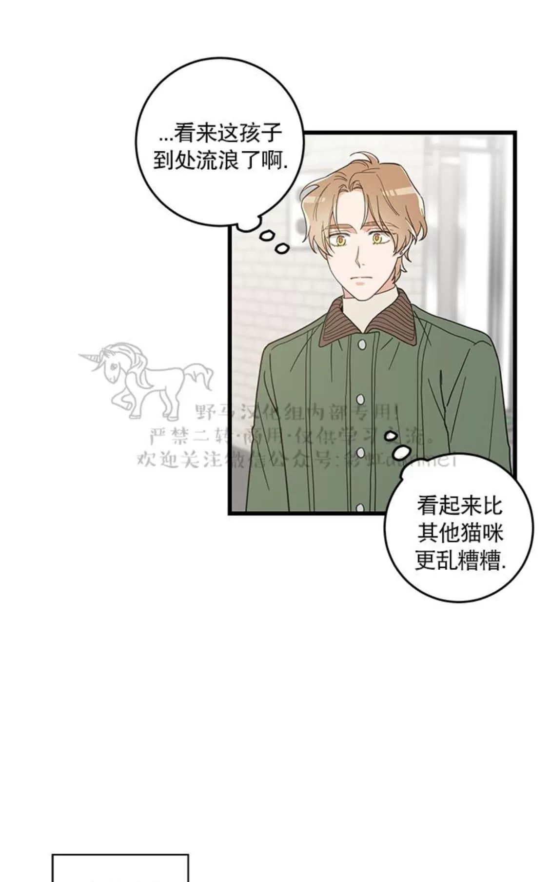 《我的专属喵喵/我的专属猫咪》漫画最新章节 第20话 免费下拉式在线观看章节第【33】张图片