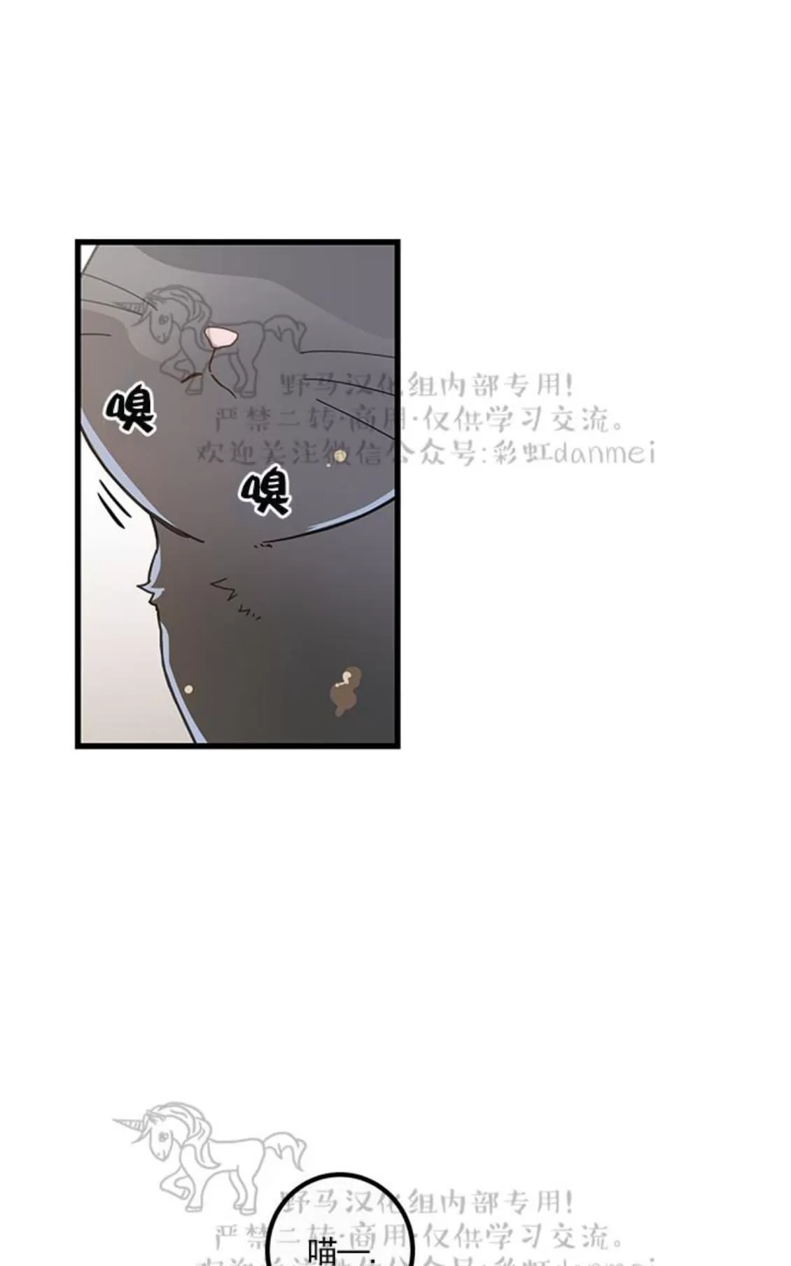 《我的专属喵喵/我的专属猫咪》漫画最新章节 第20话 免费下拉式在线观看章节第【35】张图片