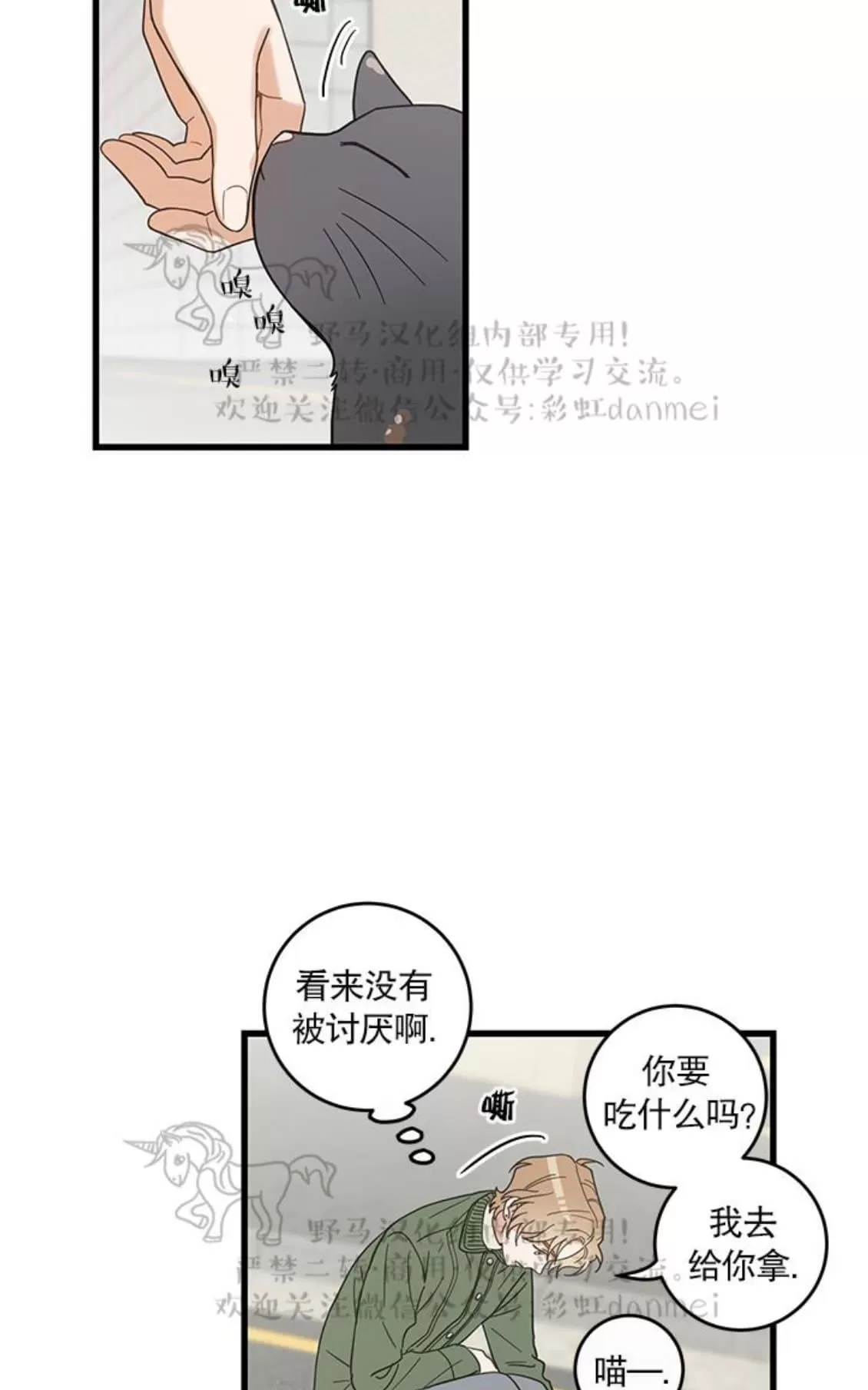 《我的专属喵喵/我的专属猫咪》漫画最新章节 第20话 免费下拉式在线观看章节第【37】张图片