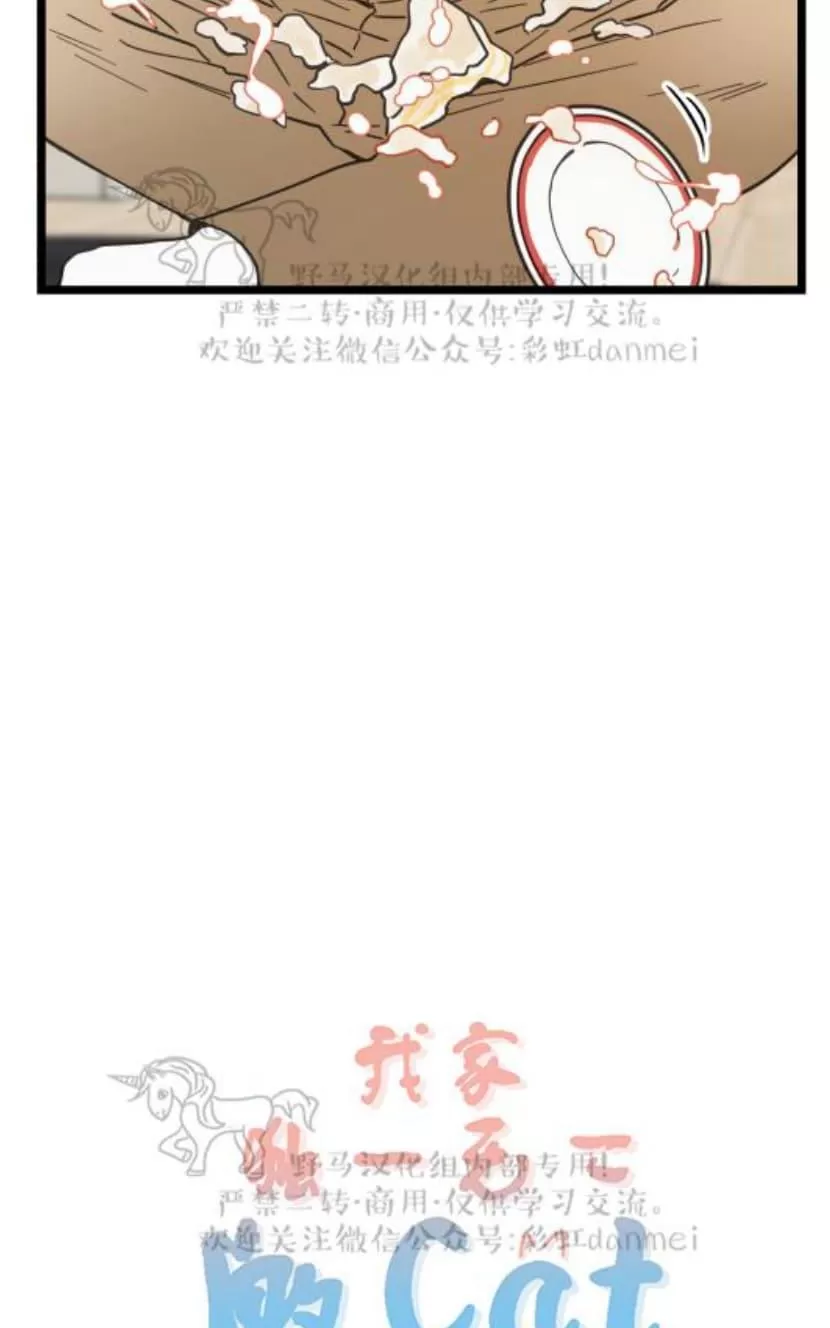 《我的专属喵喵/我的专属猫咪》漫画最新章节 第19话 免费下拉式在线观看章节第【11】张图片