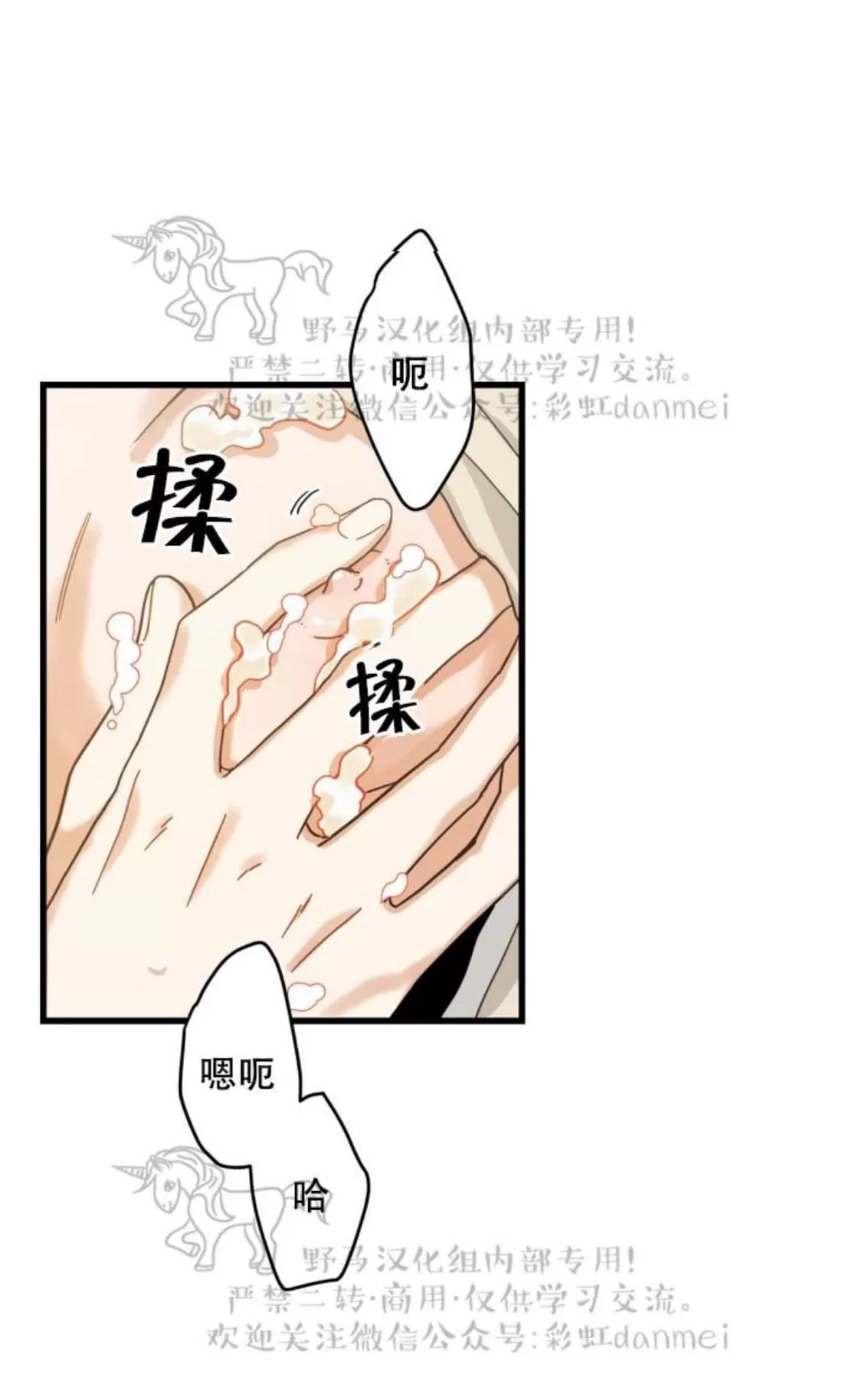 《我的专属喵喵/我的专属猫咪》漫画最新章节 第19话 免费下拉式在线观看章节第【2】张图片