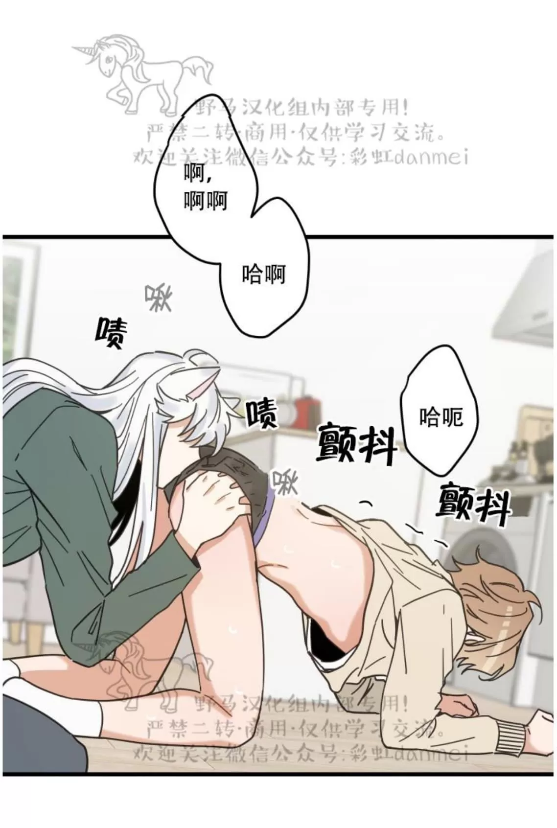 《我的专属喵喵/我的专属猫咪》漫画最新章节 第19话 免费下拉式在线观看章节第【31】张图片