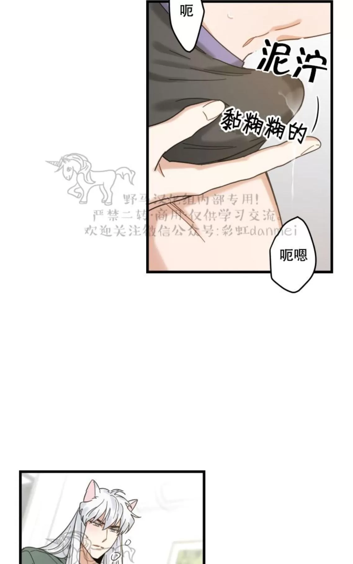 《我的专属喵喵/我的专属猫咪》漫画最新章节 第19话 免费下拉式在线观看章节第【33】张图片