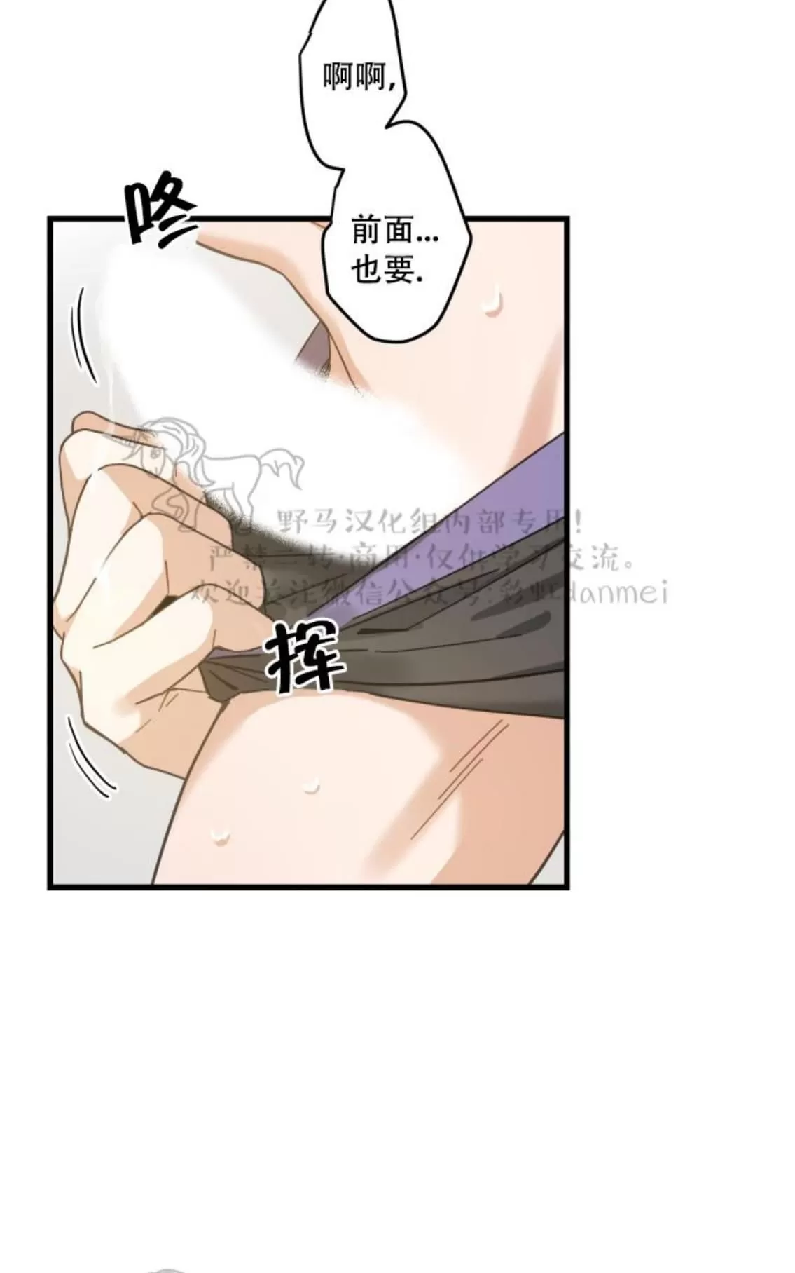 《我的专属喵喵/我的专属猫咪》漫画最新章节 第19话 免费下拉式在线观看章节第【42】张图片