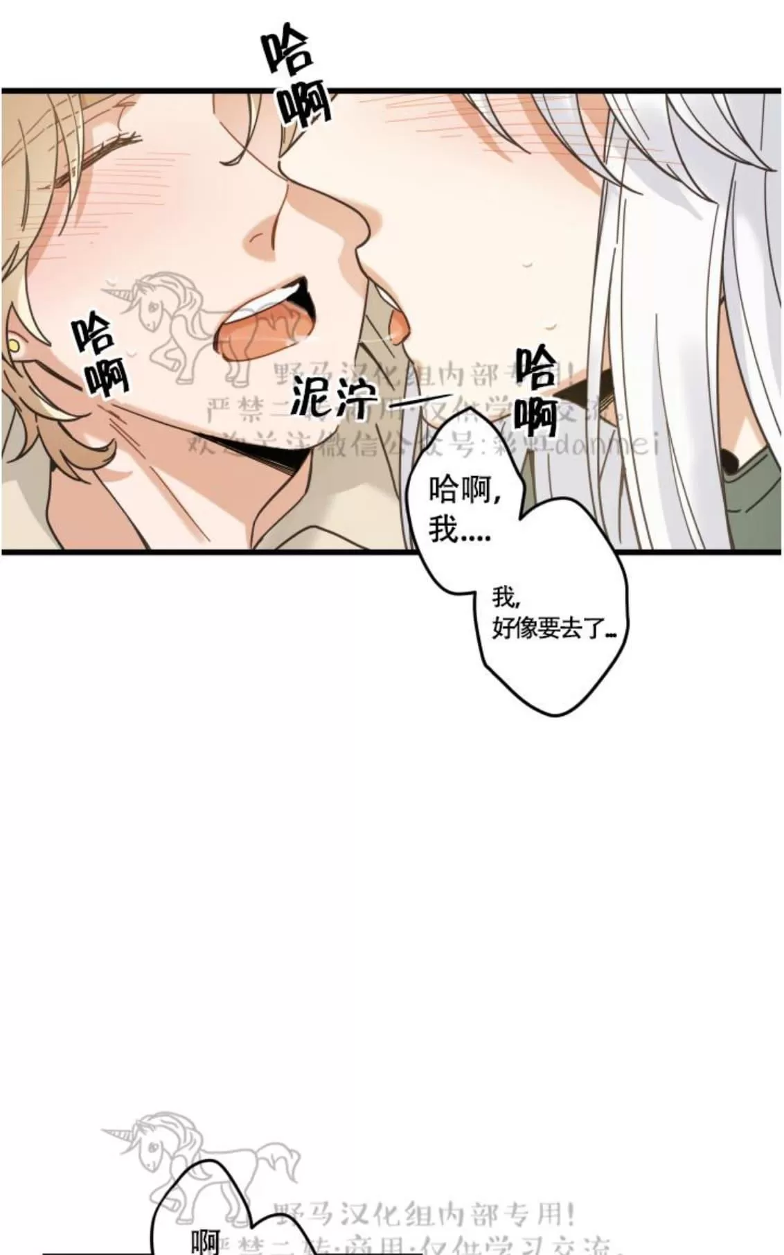 《我的专属喵喵/我的专属猫咪》漫画最新章节 第19话 免费下拉式在线观看章节第【44】张图片