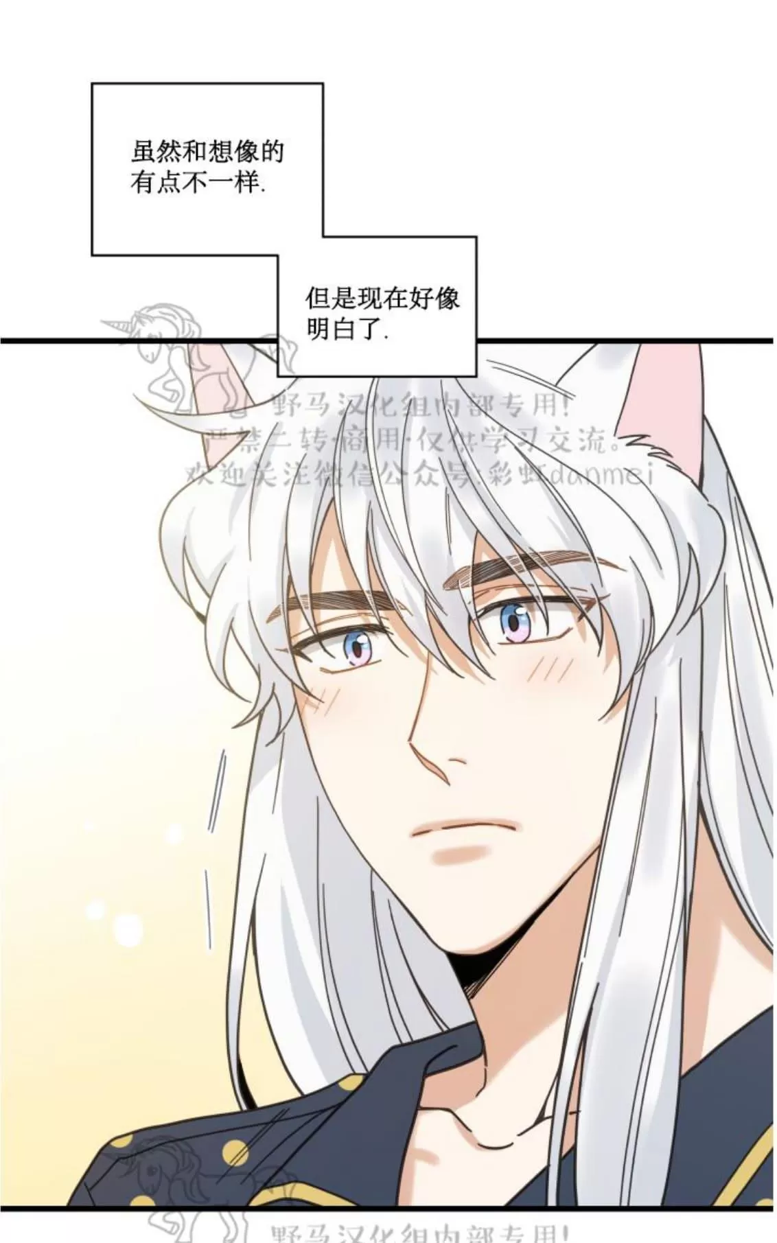 《我的专属喵喵/我的专属猫咪》漫画最新章节 第19话 免费下拉式在线观看章节第【65】张图片