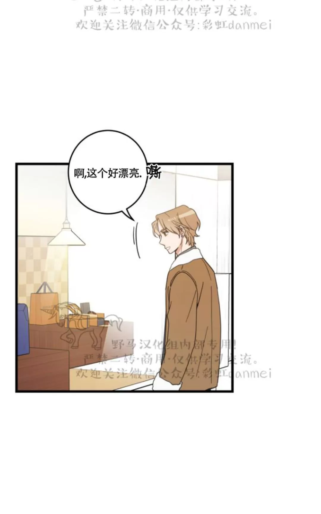 《我的专属喵喵/我的专属猫咪》漫画最新章节 第17话 免费下拉式在线观看章节第【35】张图片