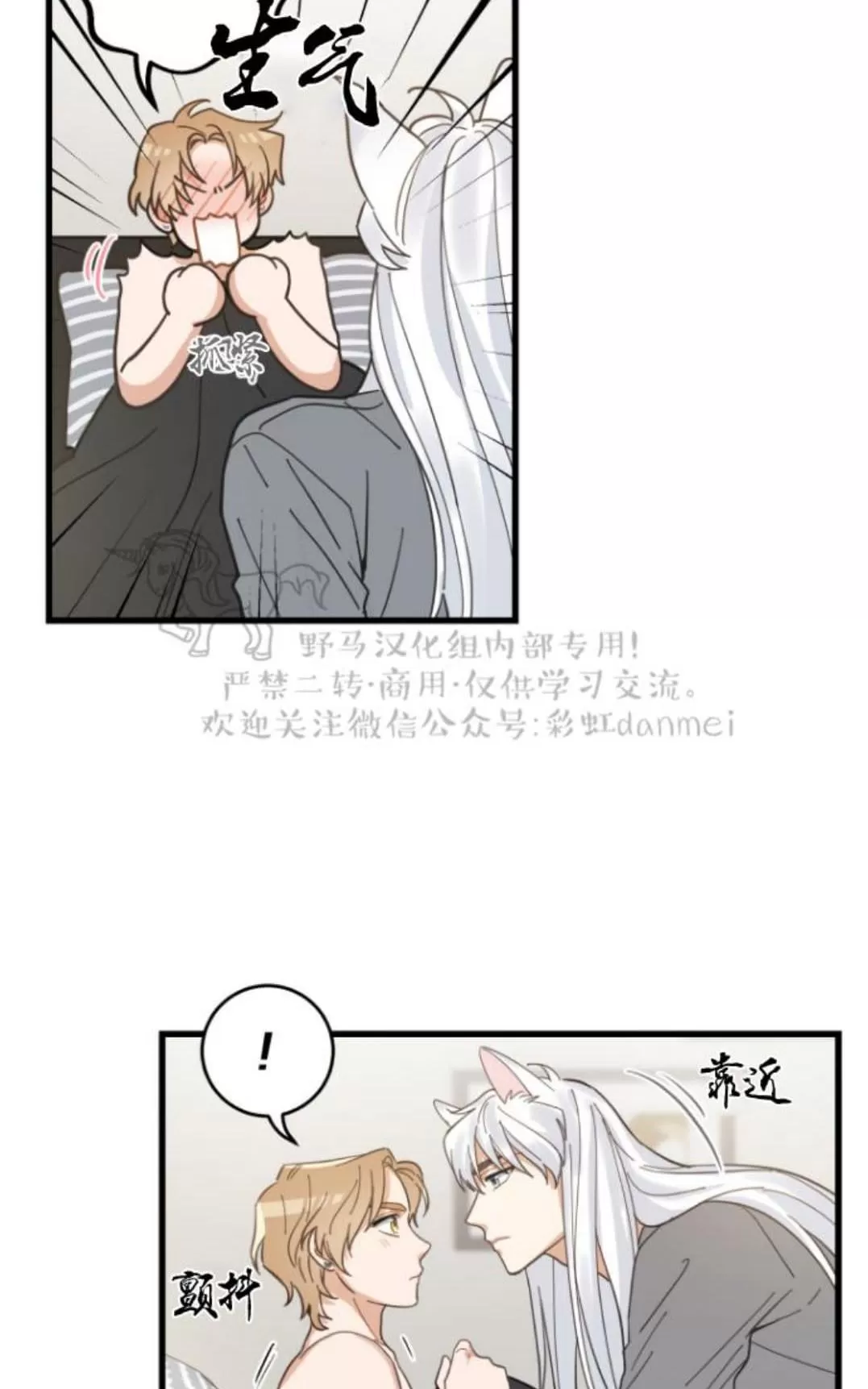 《我的专属喵喵/我的专属猫咪》漫画最新章节 第16话 免费下拉式在线观看章节第【16】张图片