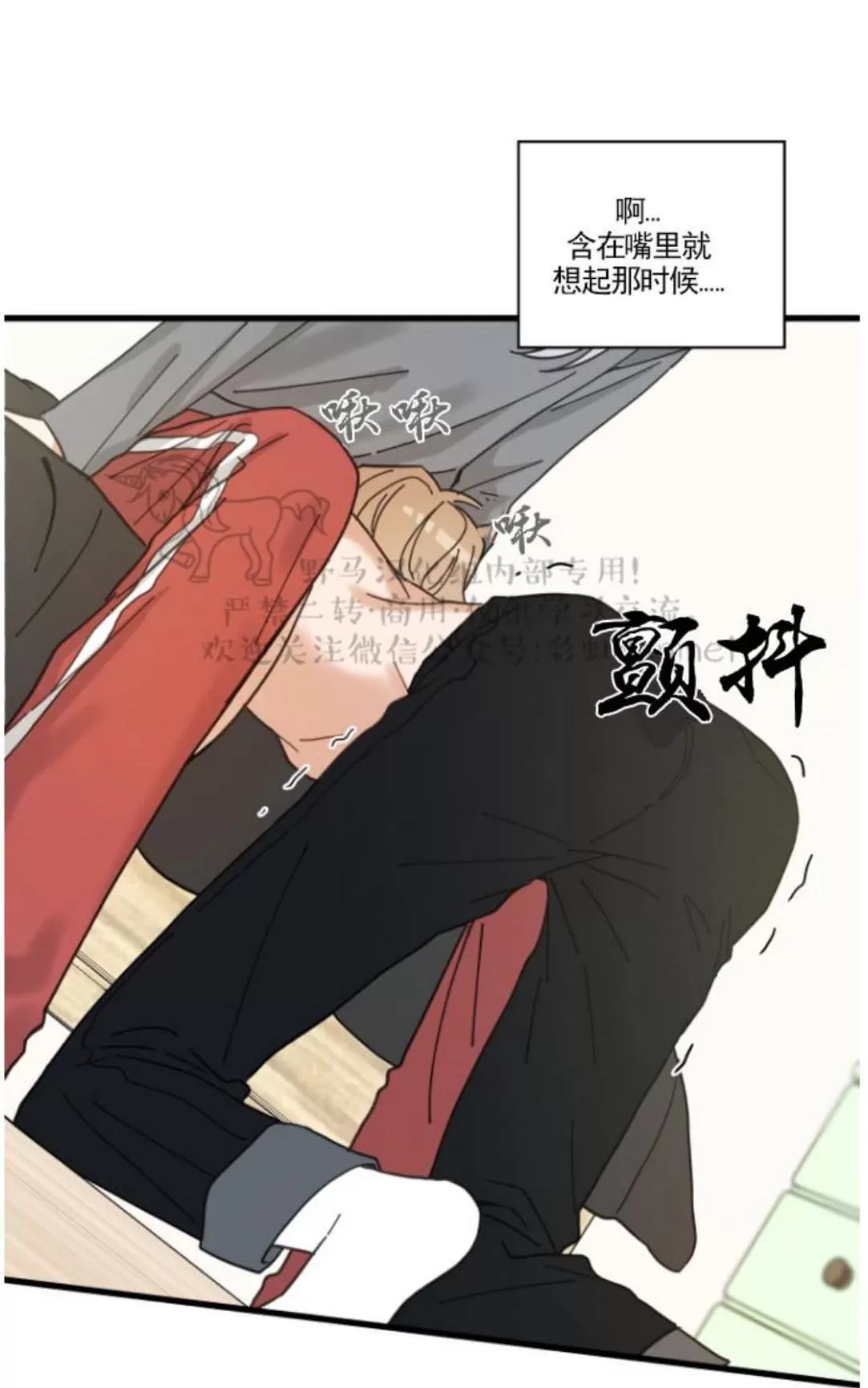 《我的专属喵喵/我的专属猫咪》漫画最新章节 第16话 免费下拉式在线观看章节第【48】张图片