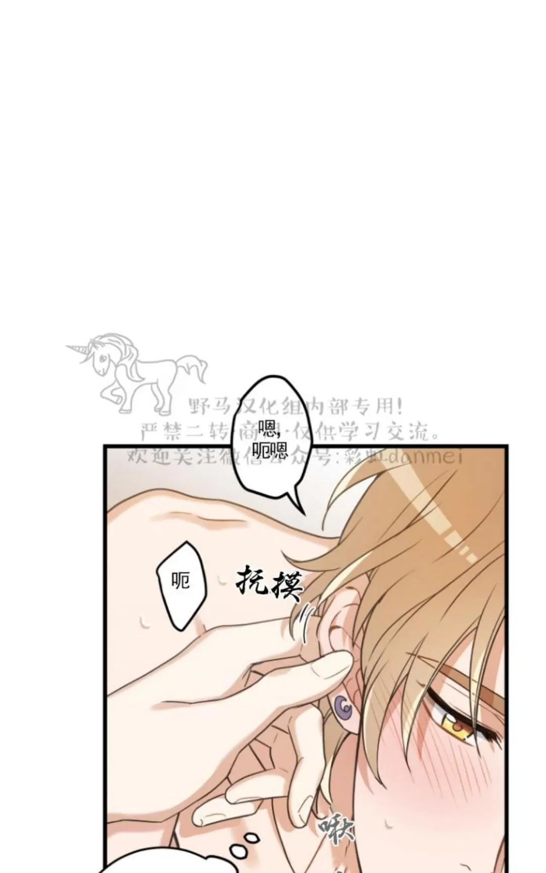 《我的专属喵喵/我的专属猫咪》漫画最新章节 第16话 免费下拉式在线观看章节第【50】张图片