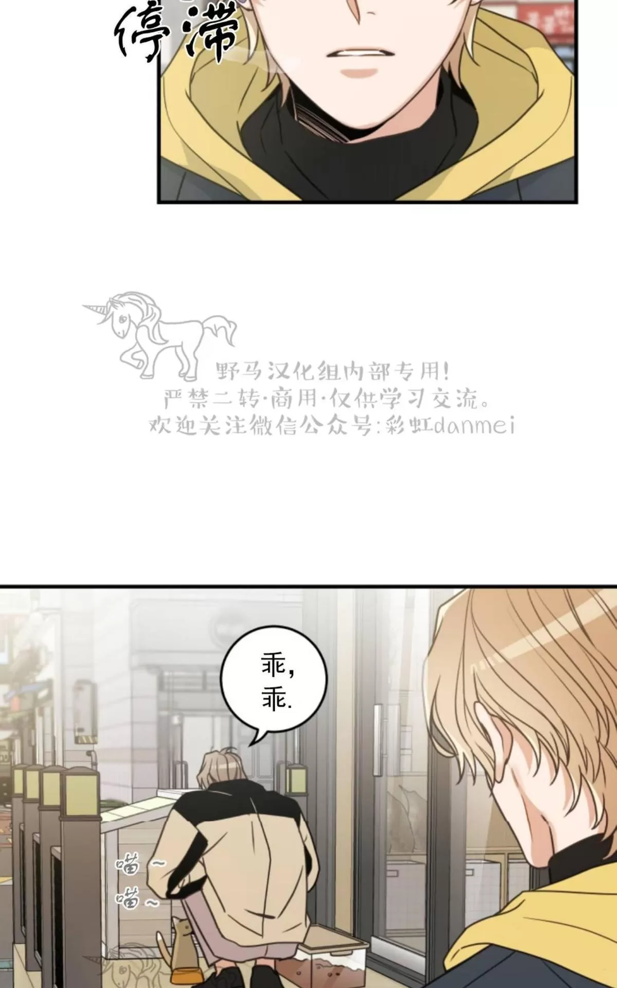 《我的专属喵喵/我的专属猫咪》漫画最新章节 第15话 免费下拉式在线观看章节第【11】张图片