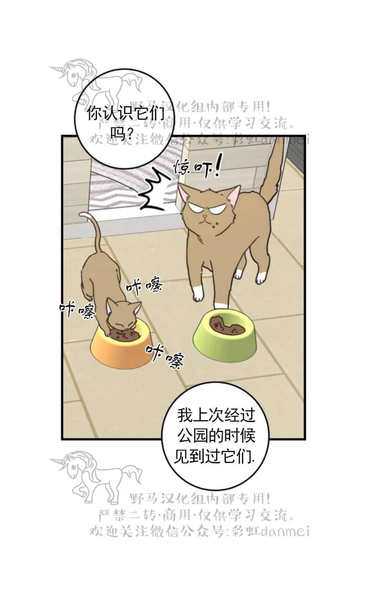 《我的专属喵喵/我的专属猫咪》漫画最新章节 第15话 免费下拉式在线观看章节第【18】张图片