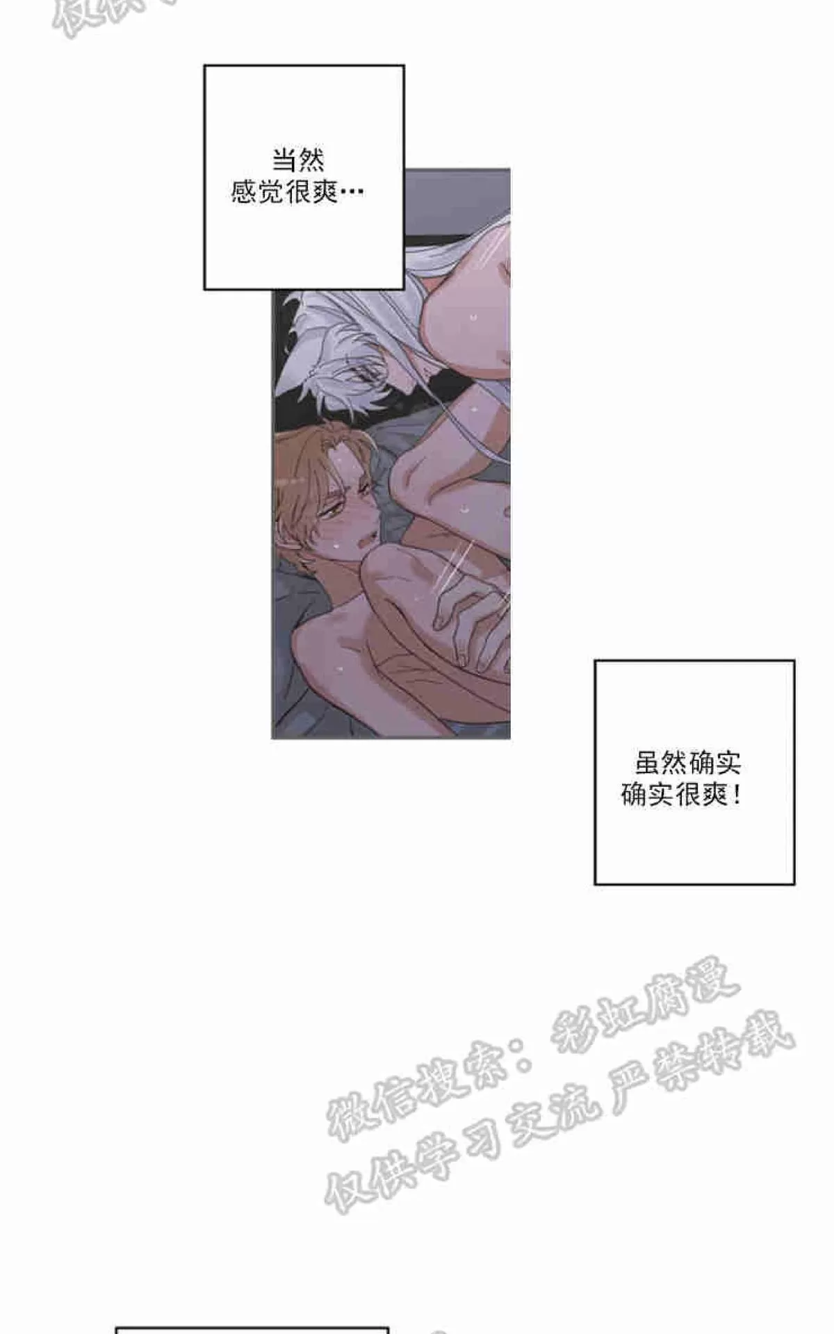 《我的专属喵喵/我的专属猫咪》漫画最新章节 第14话 免费下拉式在线观看章节第【11】张图片