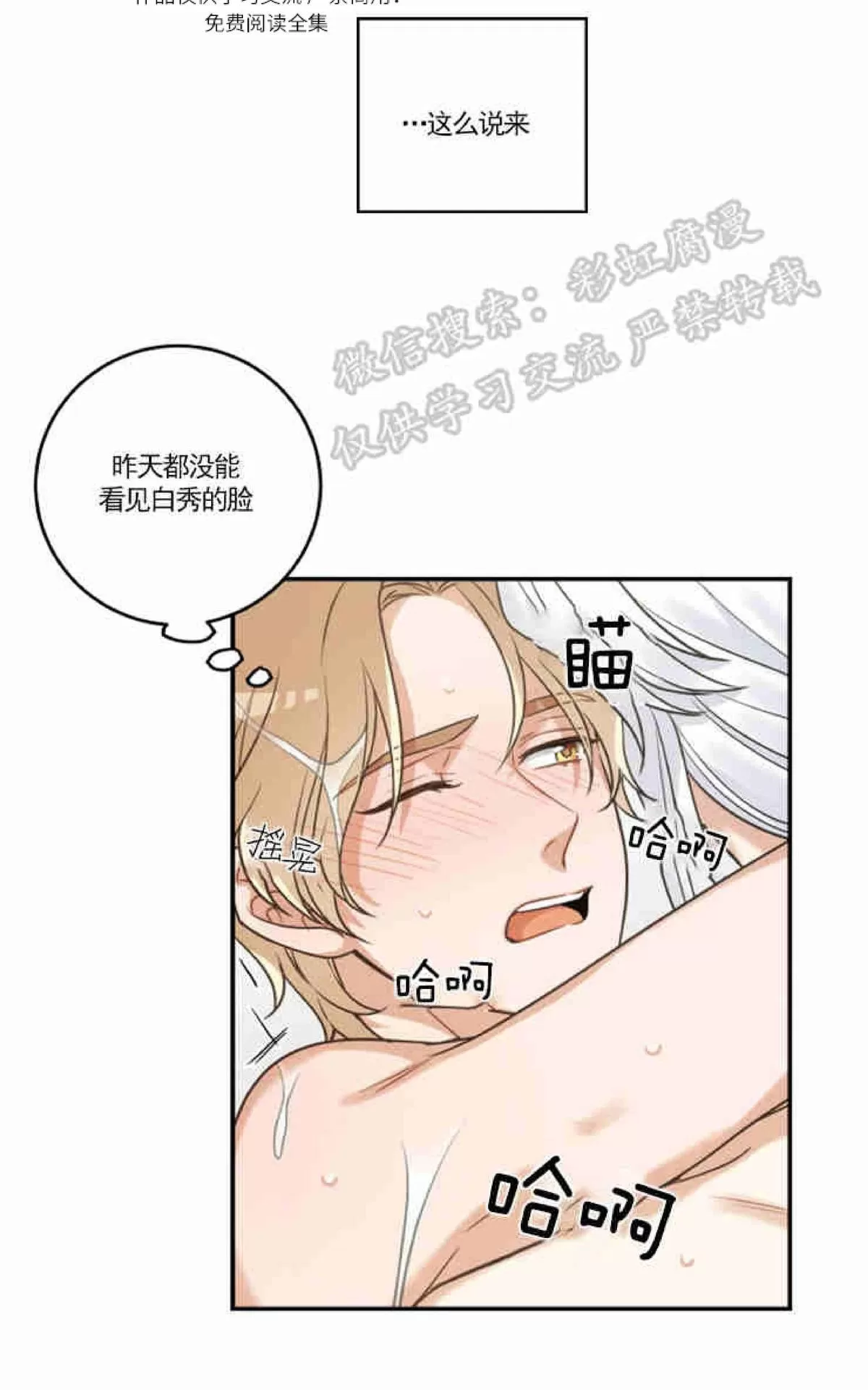 《我的专属喵喵/我的专属猫咪》漫画最新章节 第14话 免费下拉式在线观看章节第【40】张图片