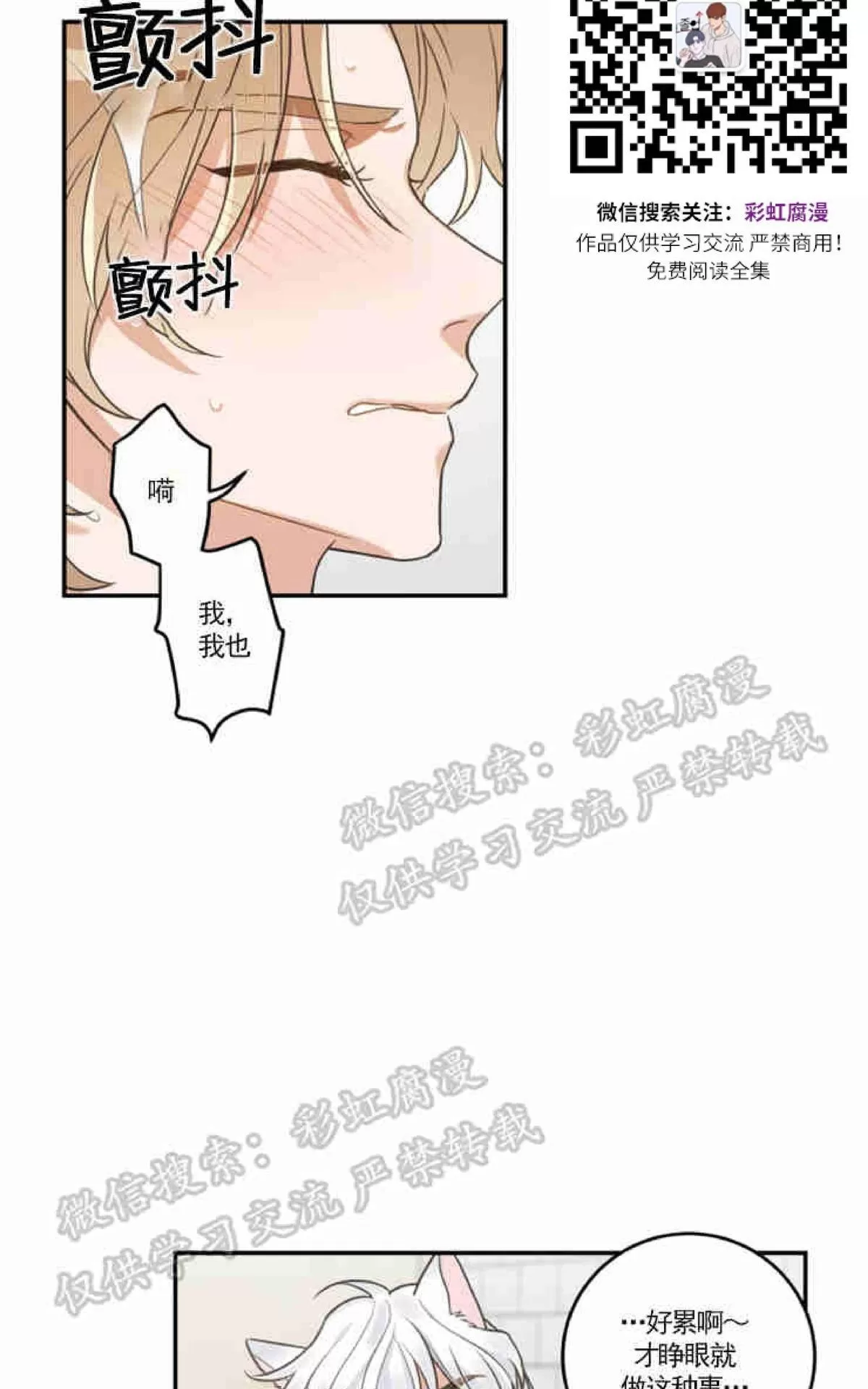 《我的专属喵喵/我的专属猫咪》漫画最新章节 第14话 免费下拉式在线观看章节第【44】张图片