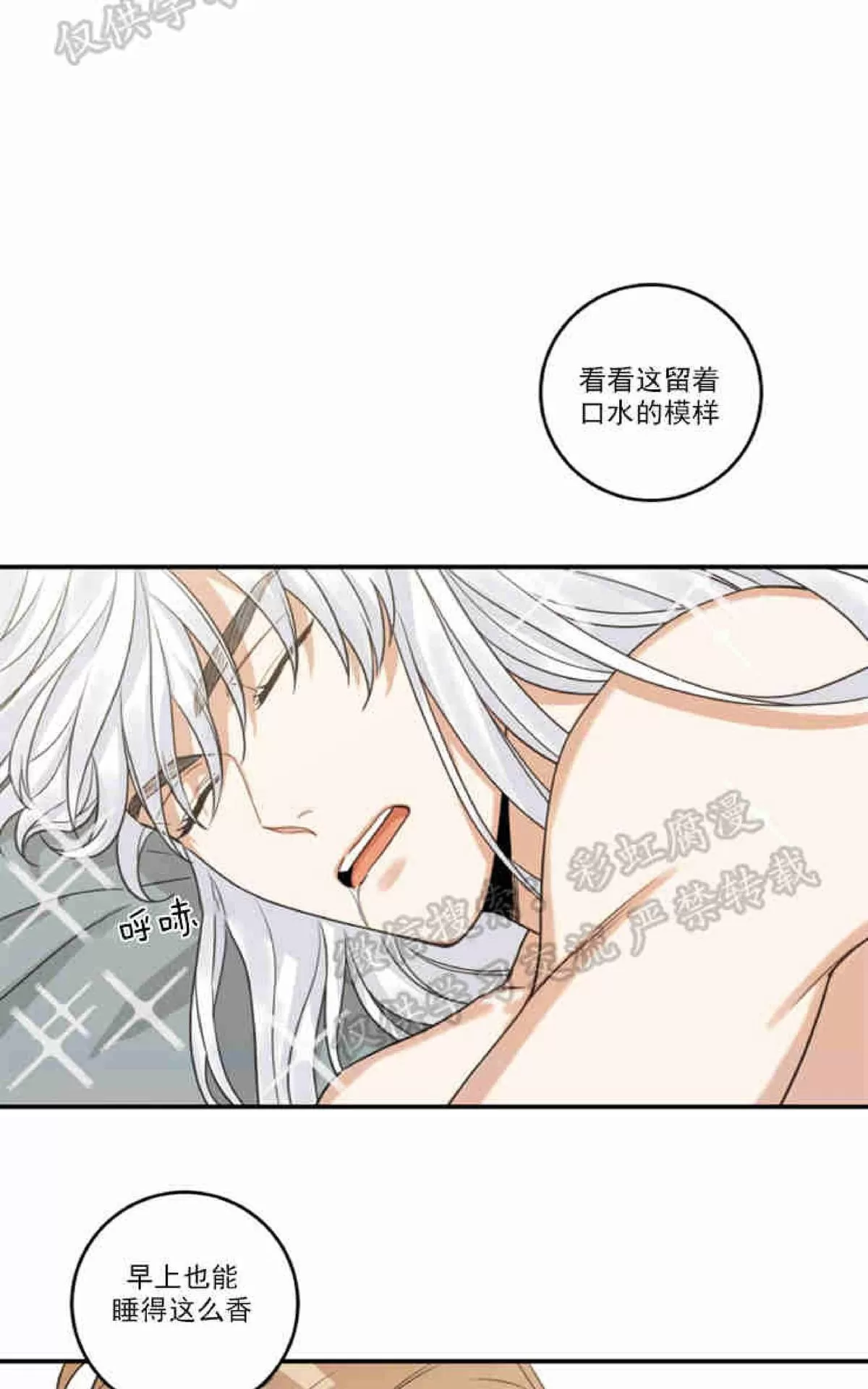 《我的专属喵喵/我的专属猫咪》漫画最新章节 第14话 免费下拉式在线观看章节第【8】张图片