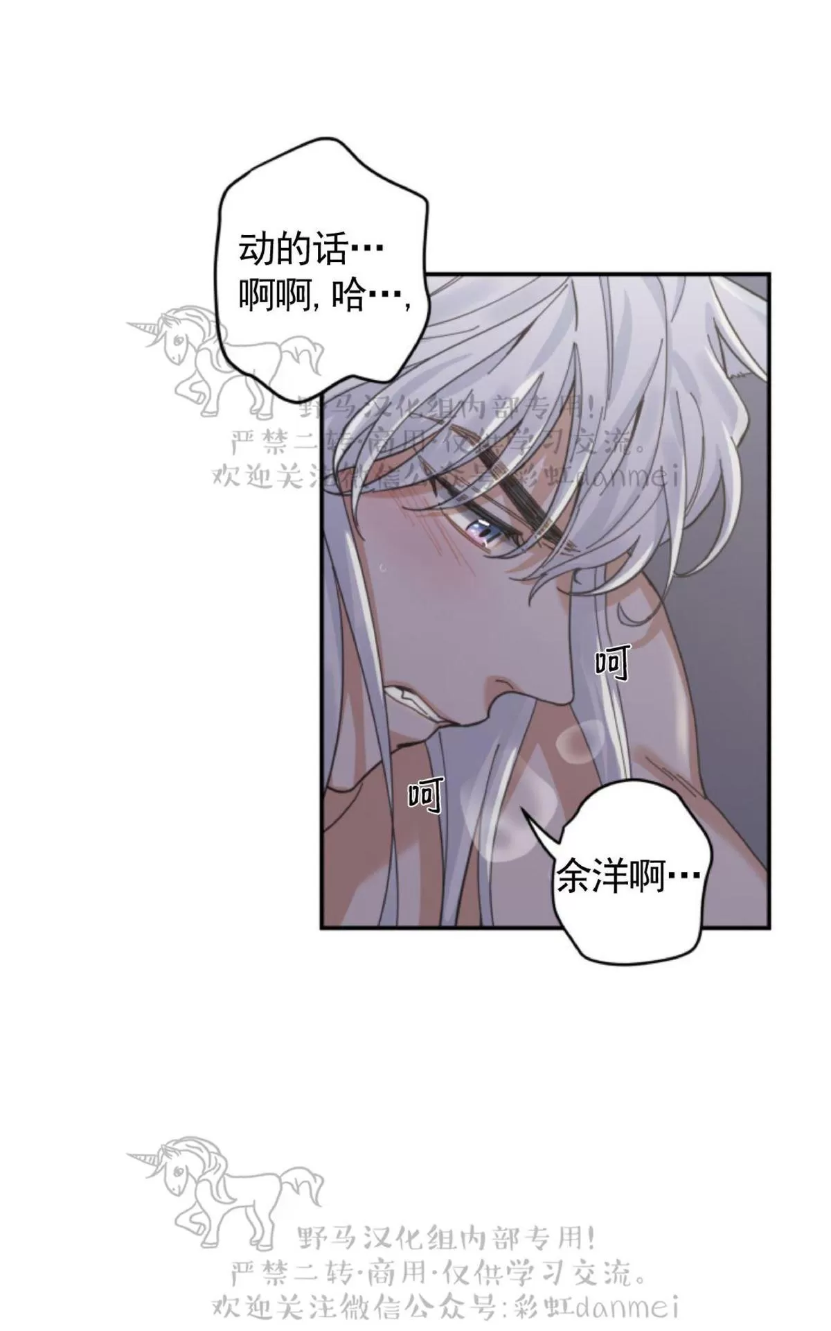 《我的专属喵喵/我的专属猫咪》漫画最新章节 第13话 免费下拉式在线观看章节第【17】张图片