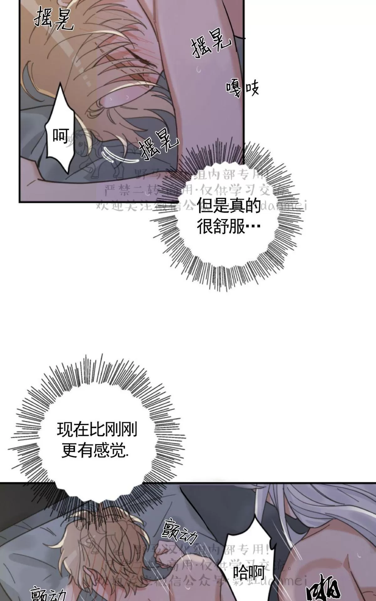 《我的专属喵喵/我的专属猫咪》漫画最新章节 第13话 免费下拉式在线观看章节第【41】张图片