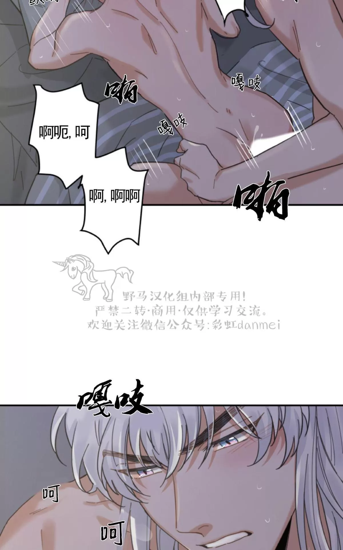 《我的专属喵喵/我的专属猫咪》漫画最新章节 第13话 免费下拉式在线观看章节第【42】张图片