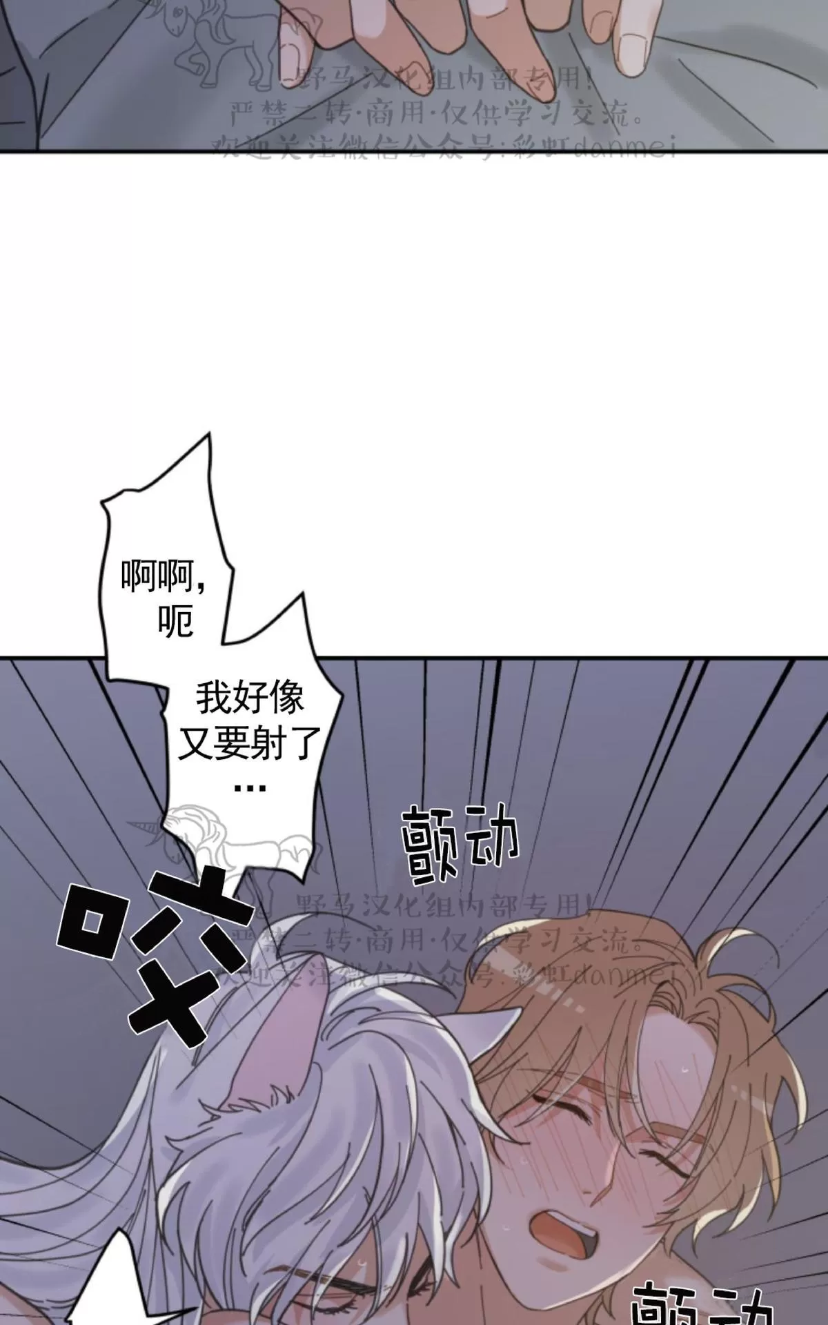 《我的专属喵喵/我的专属猫咪》漫画最新章节 第13话 免费下拉式在线观看章节第【45】张图片