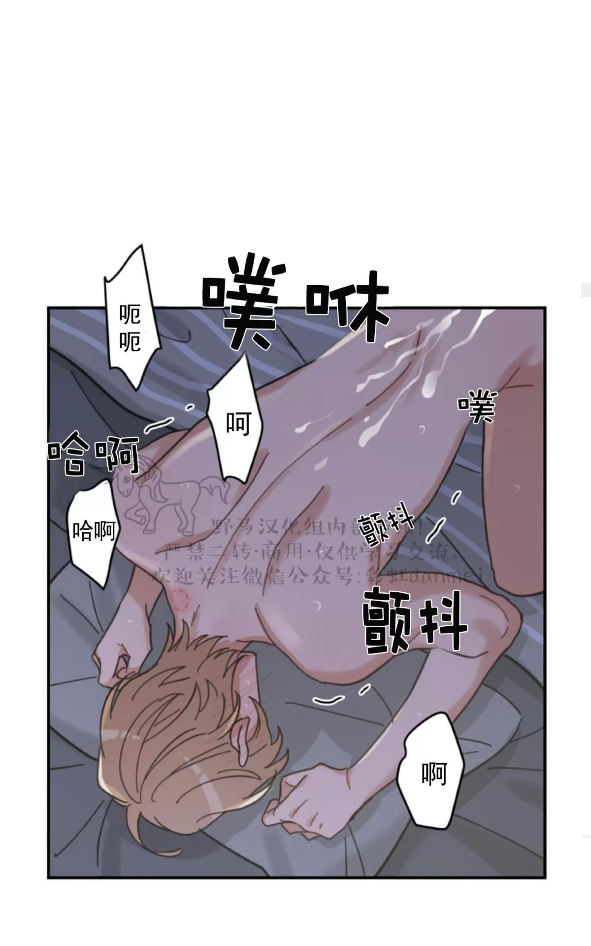 《我的专属喵喵/我的专属猫咪》漫画最新章节 第13话 免费下拉式在线观看章节第【47】张图片