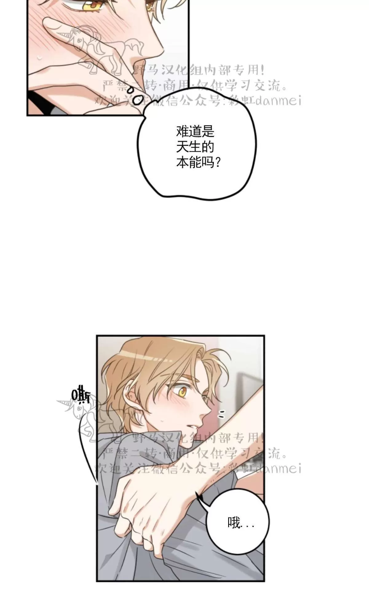 《我的专属喵喵/我的专属猫咪》漫画最新章节 第12话 免费下拉式在线观看章节第【15】张图片