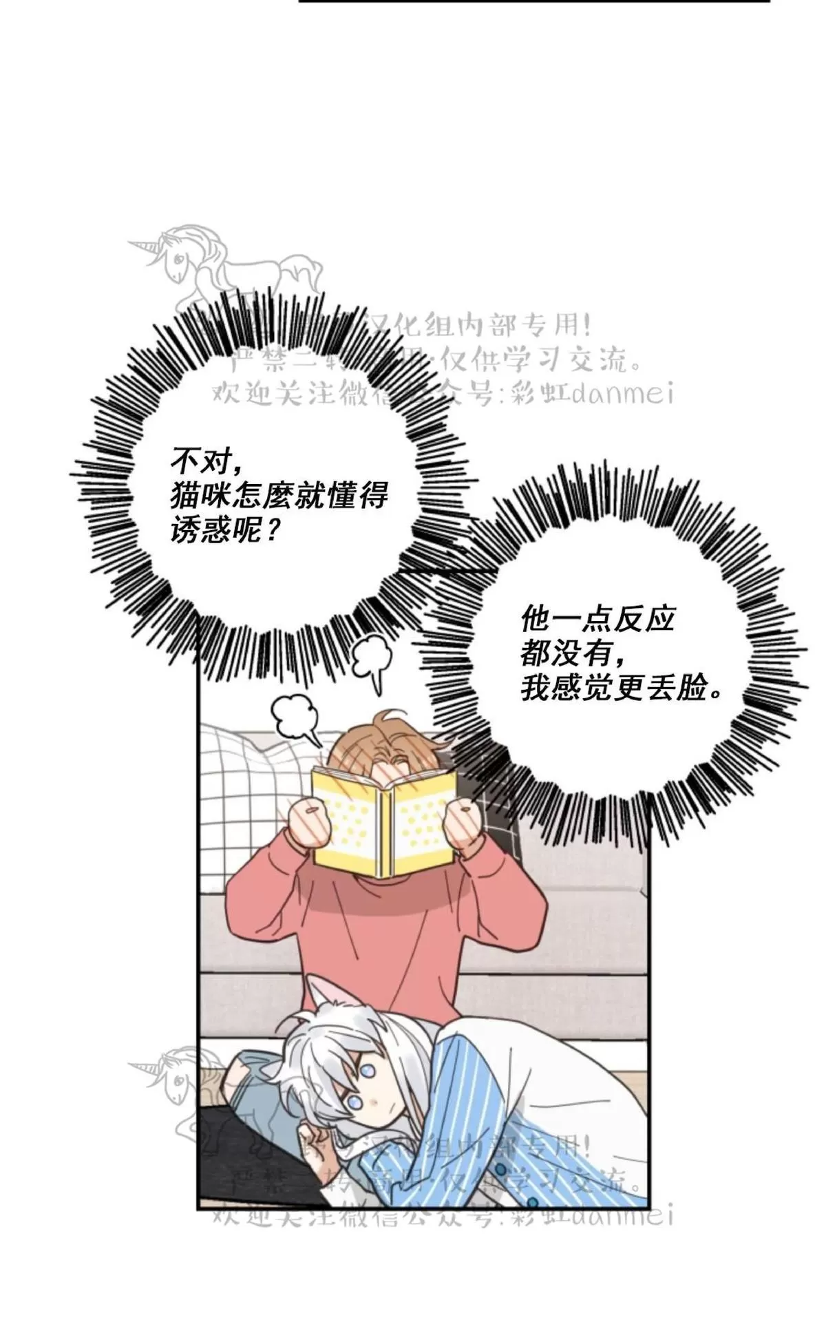 《我的专属喵喵/我的专属猫咪》漫画最新章节 第11话 免费下拉式在线观看章节第【17】张图片