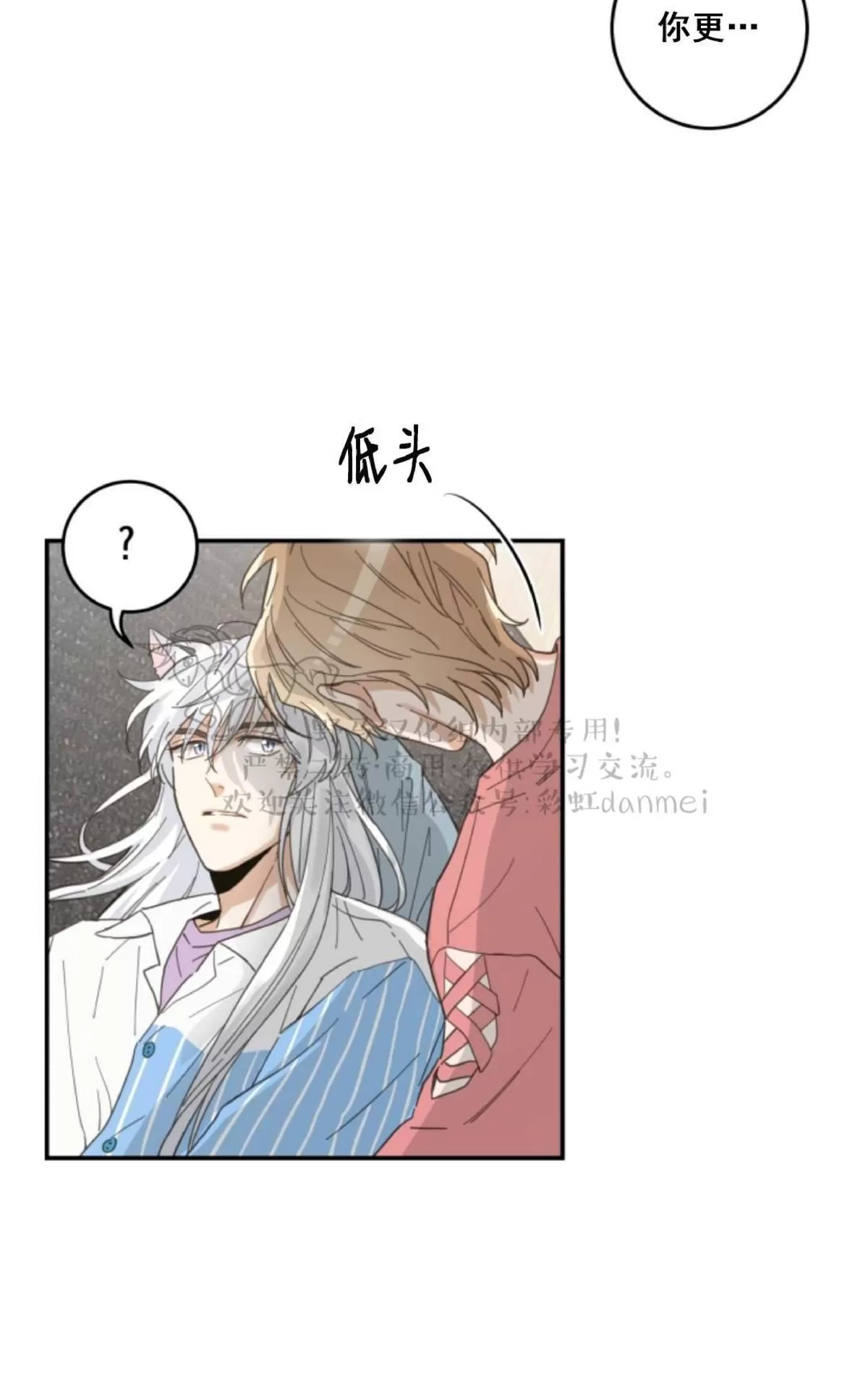 《我的专属喵喵/我的专属猫咪》漫画最新章节 第11话 免费下拉式在线观看章节第【21】张图片