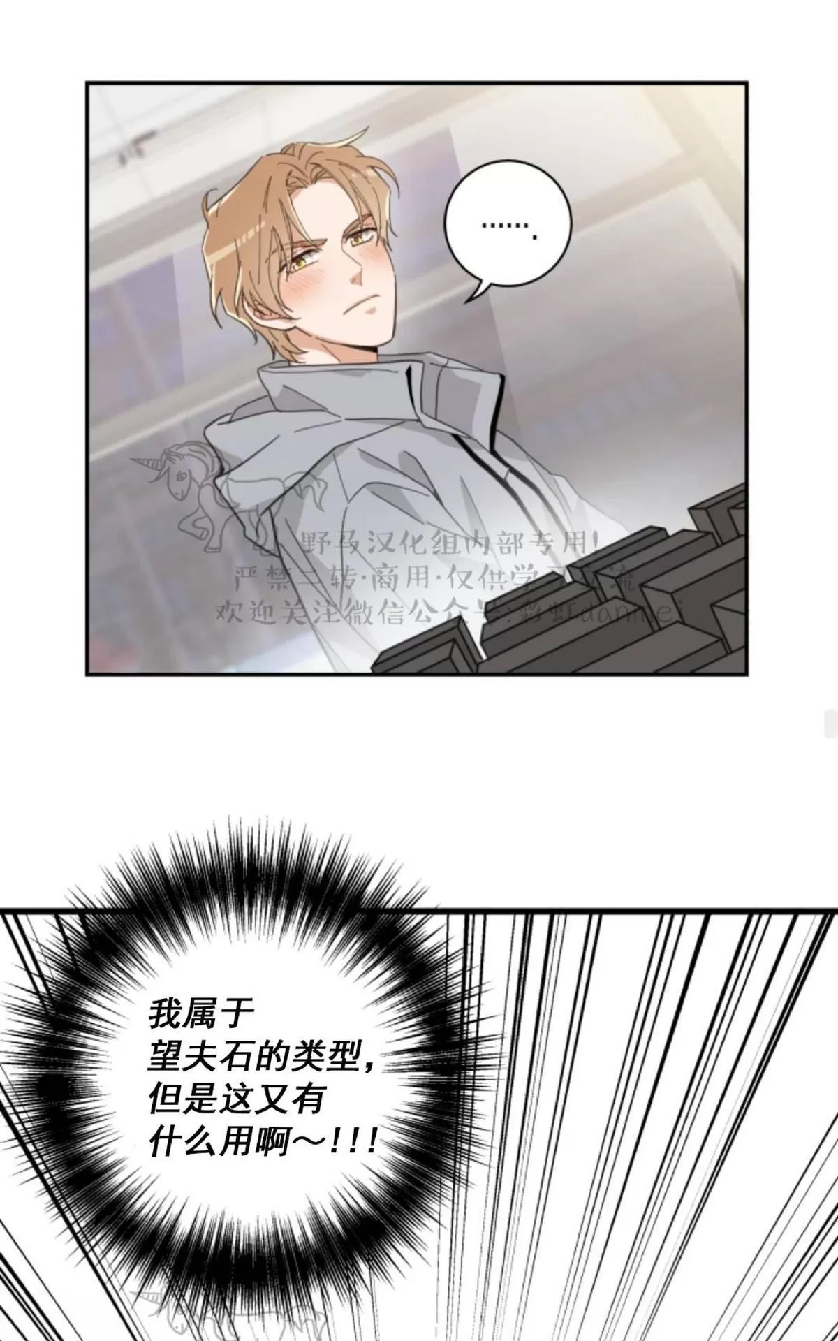 《我的专属喵喵/我的专属猫咪》漫画最新章节 第11话 免费下拉式在线观看章节第【31】张图片