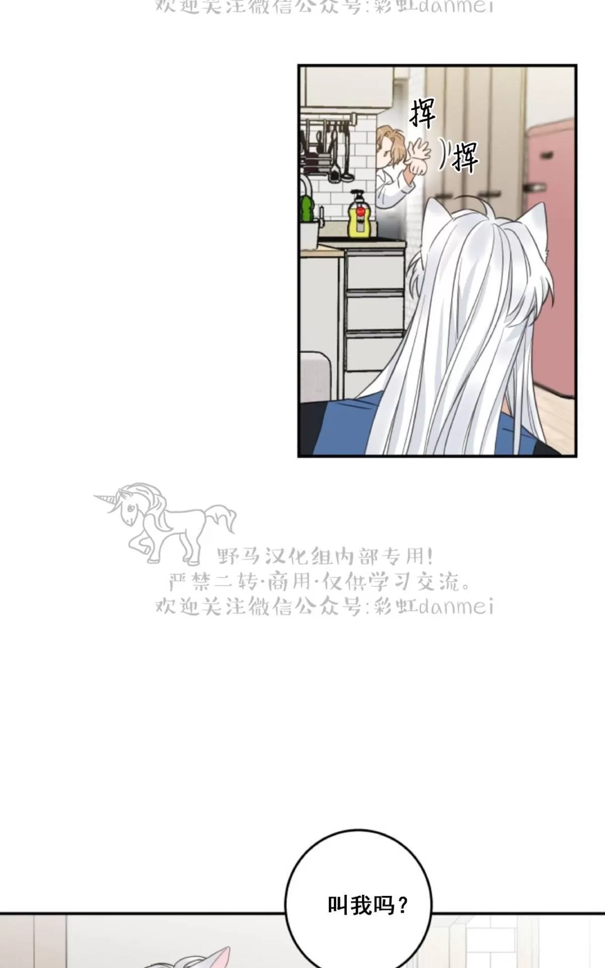 《我的专属喵喵/我的专属猫咪》漫画最新章节 第11话 免费下拉式在线观看章节第【4】张图片