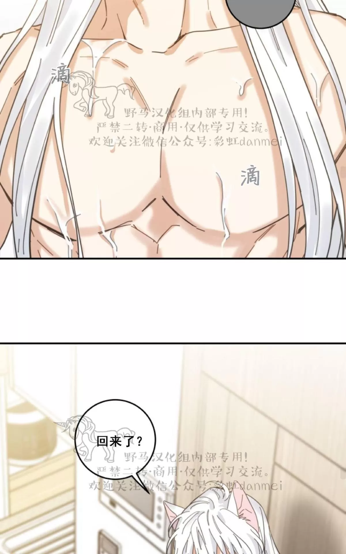 《我的专属喵喵/我的专属猫咪》漫画最新章节 第11话 免费下拉式在线观看章节第【42】张图片