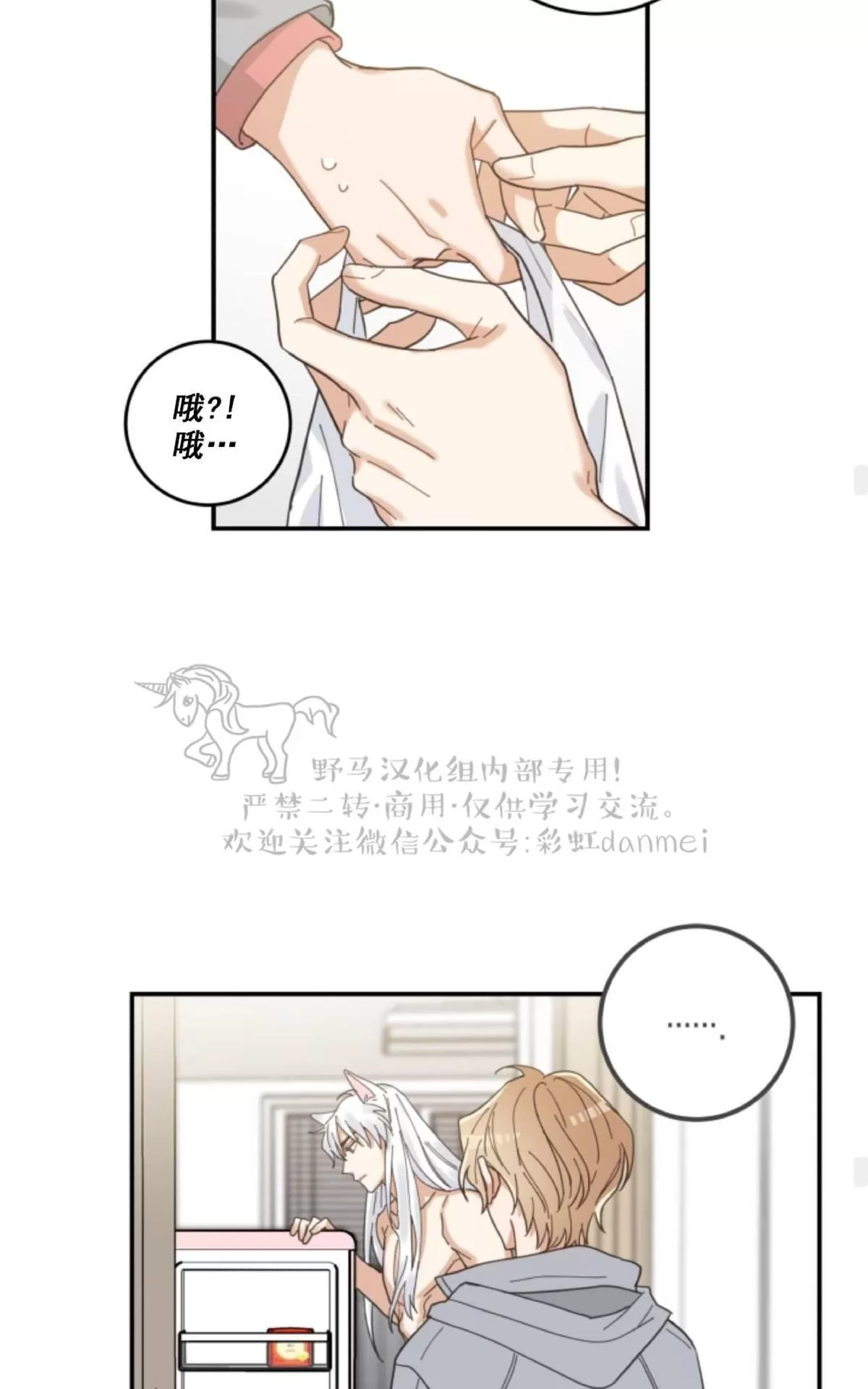 《我的专属喵喵/我的专属猫咪》漫画最新章节 第11话 免费下拉式在线观看章节第【46】张图片