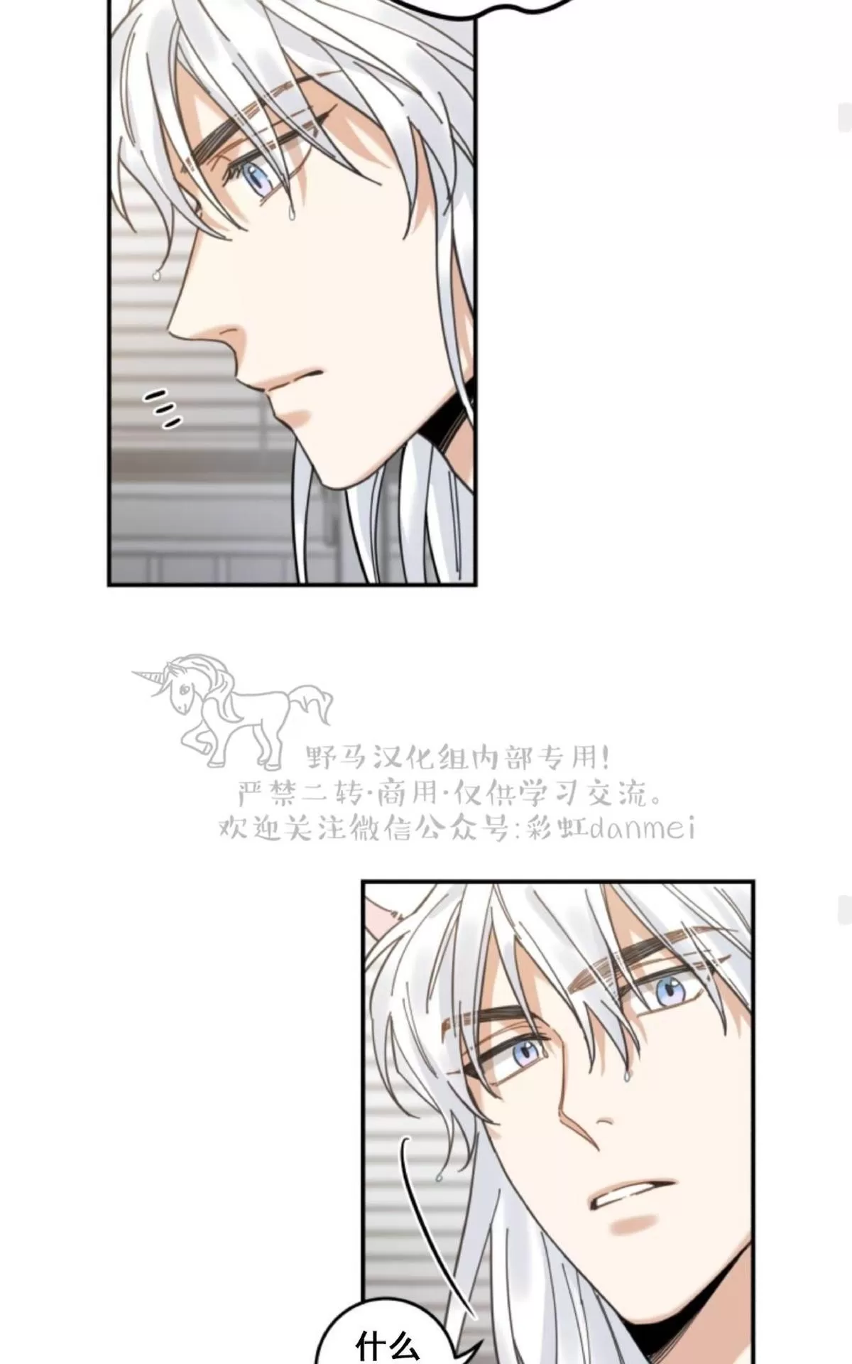 《我的专属喵喵/我的专属猫咪》漫画最新章节 第11话 免费下拉式在线观看章节第【51】张图片