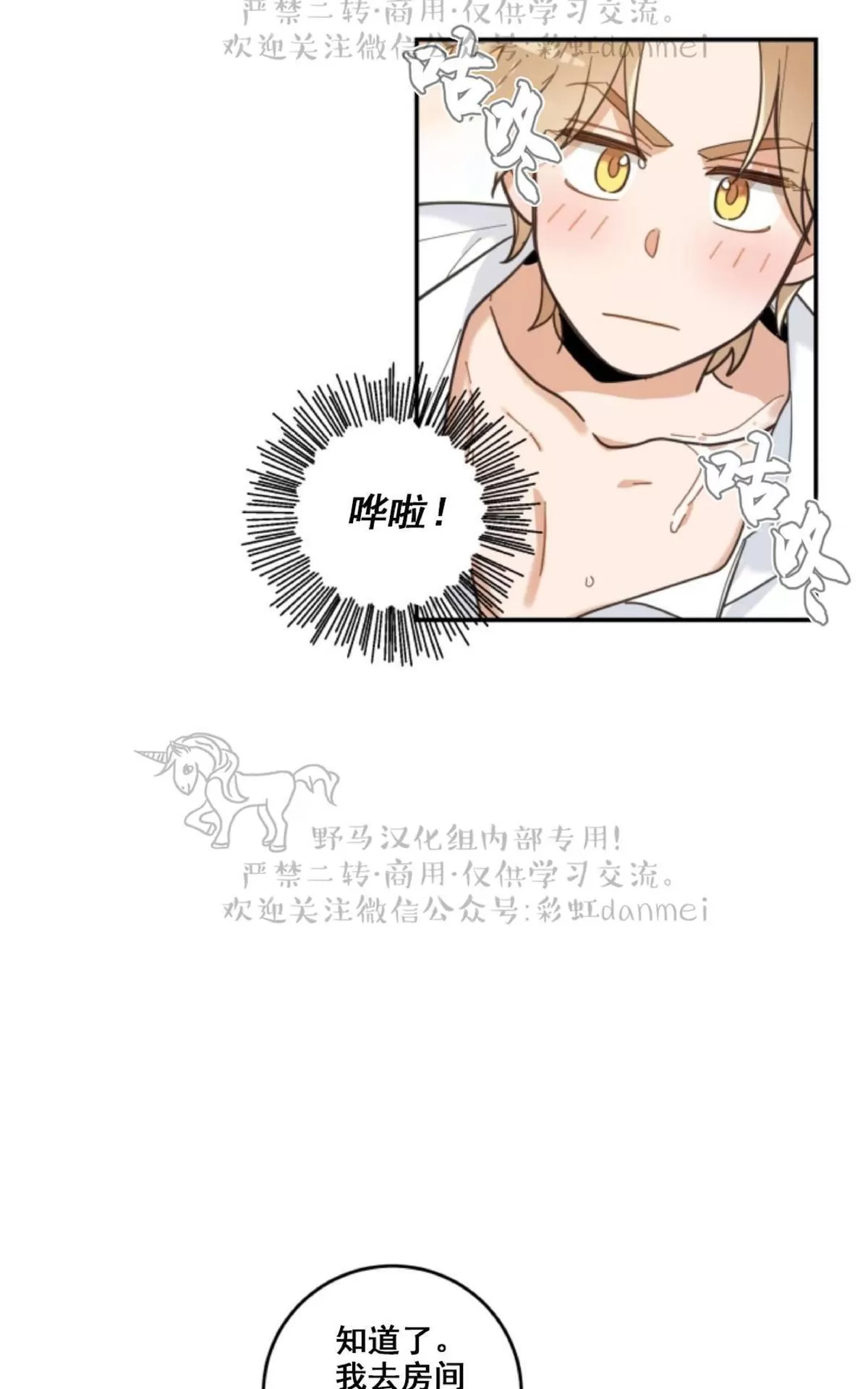 《我的专属喵喵/我的专属猫咪》漫画最新章节 第11话 免费下拉式在线观看章节第【8】张图片