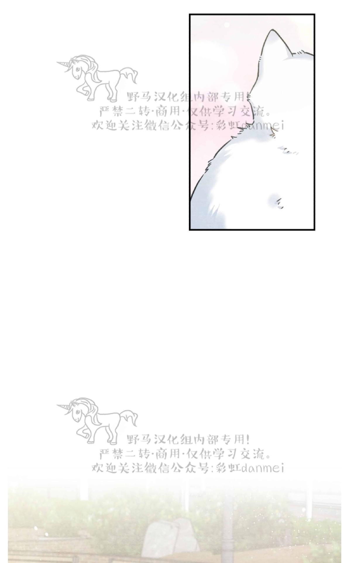 【我的专属喵喵/我的专属猫咪[腐漫]】漫画-（ 第10话 ）章节漫画下拉式图片-11.jpg