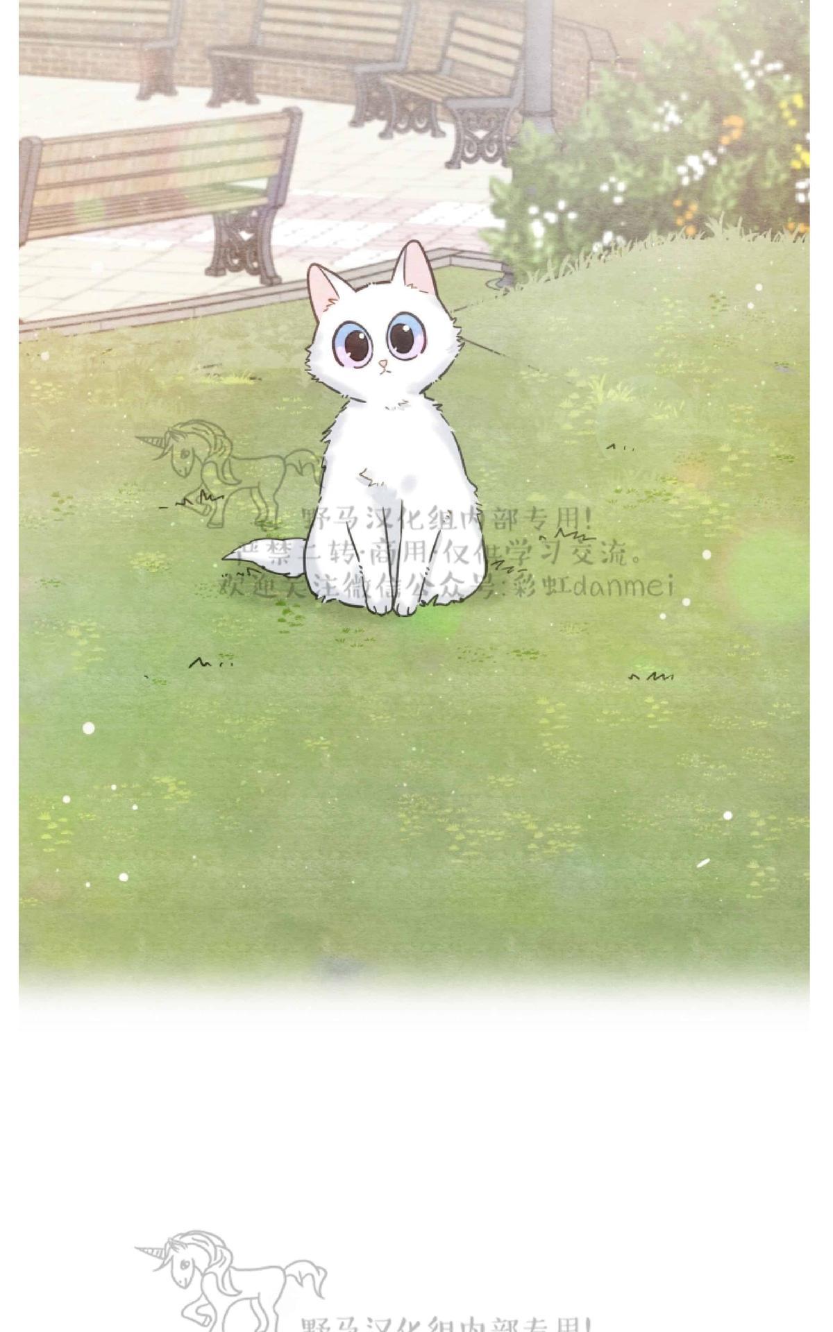 【我的专属喵喵/我的专属猫咪[腐漫]】漫画-（ 第10话 ）章节漫画下拉式图片-12.jpg